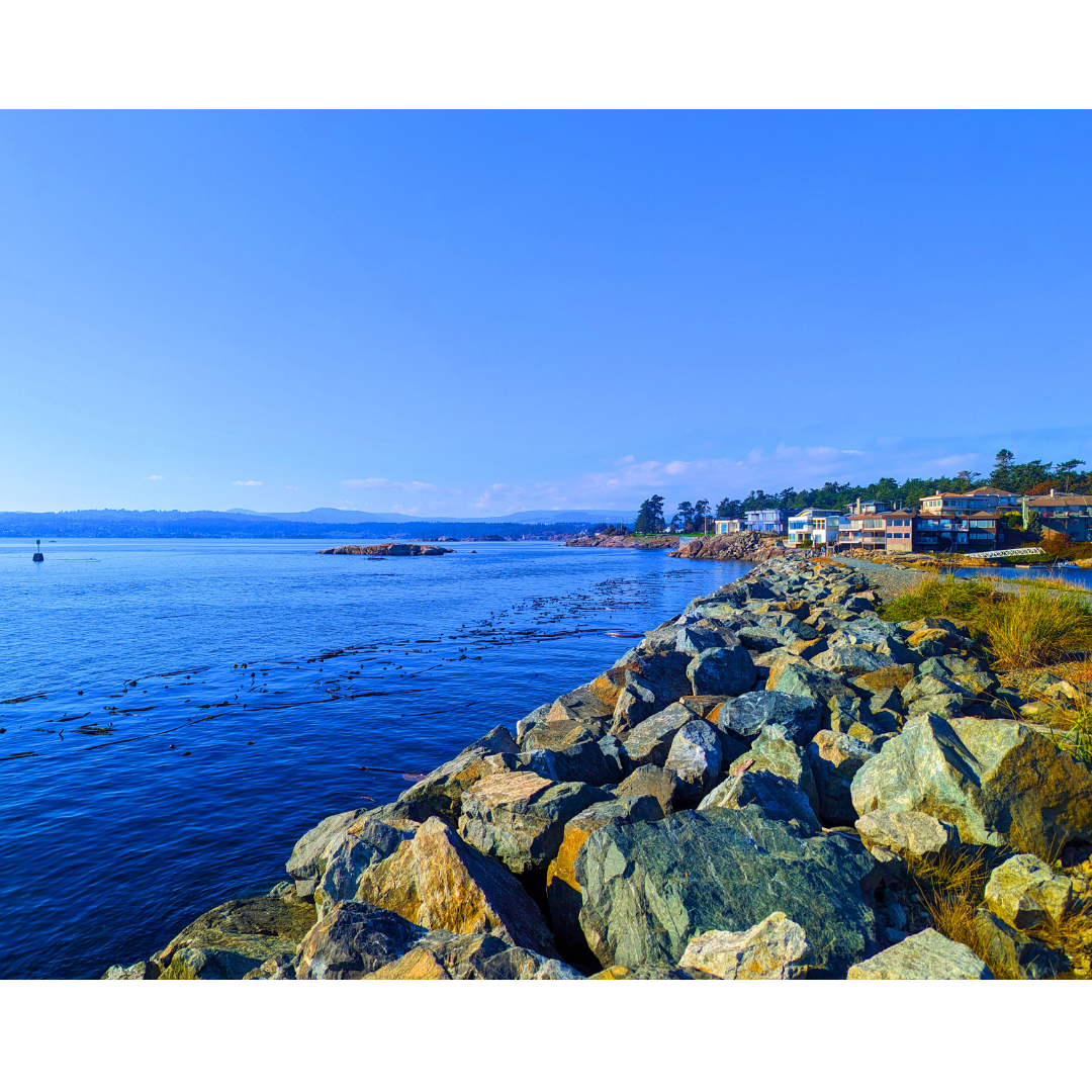 The Coastal Causeway