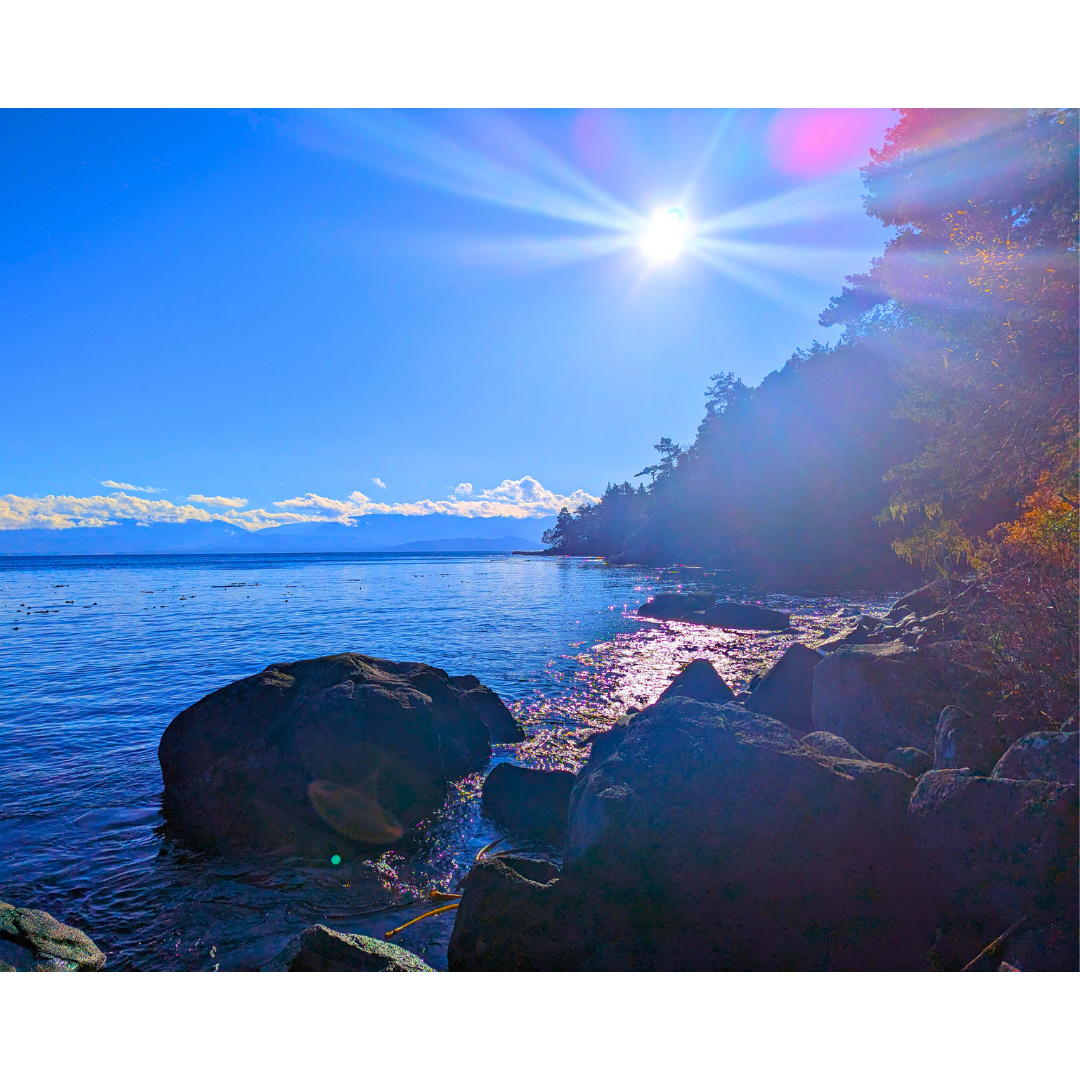 Afternoon Light on Coastal Stone