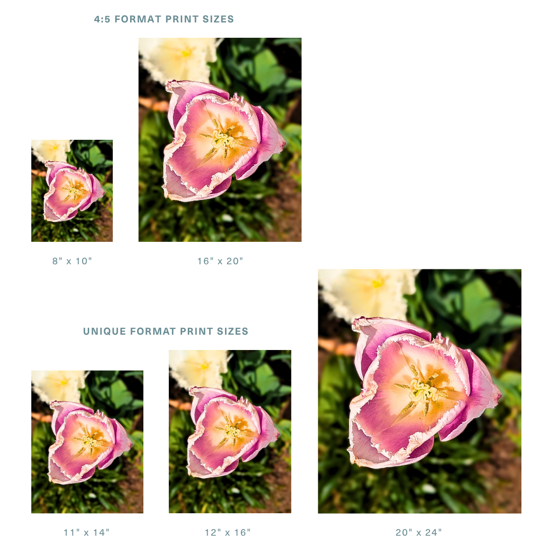 4_5 Store (2).png