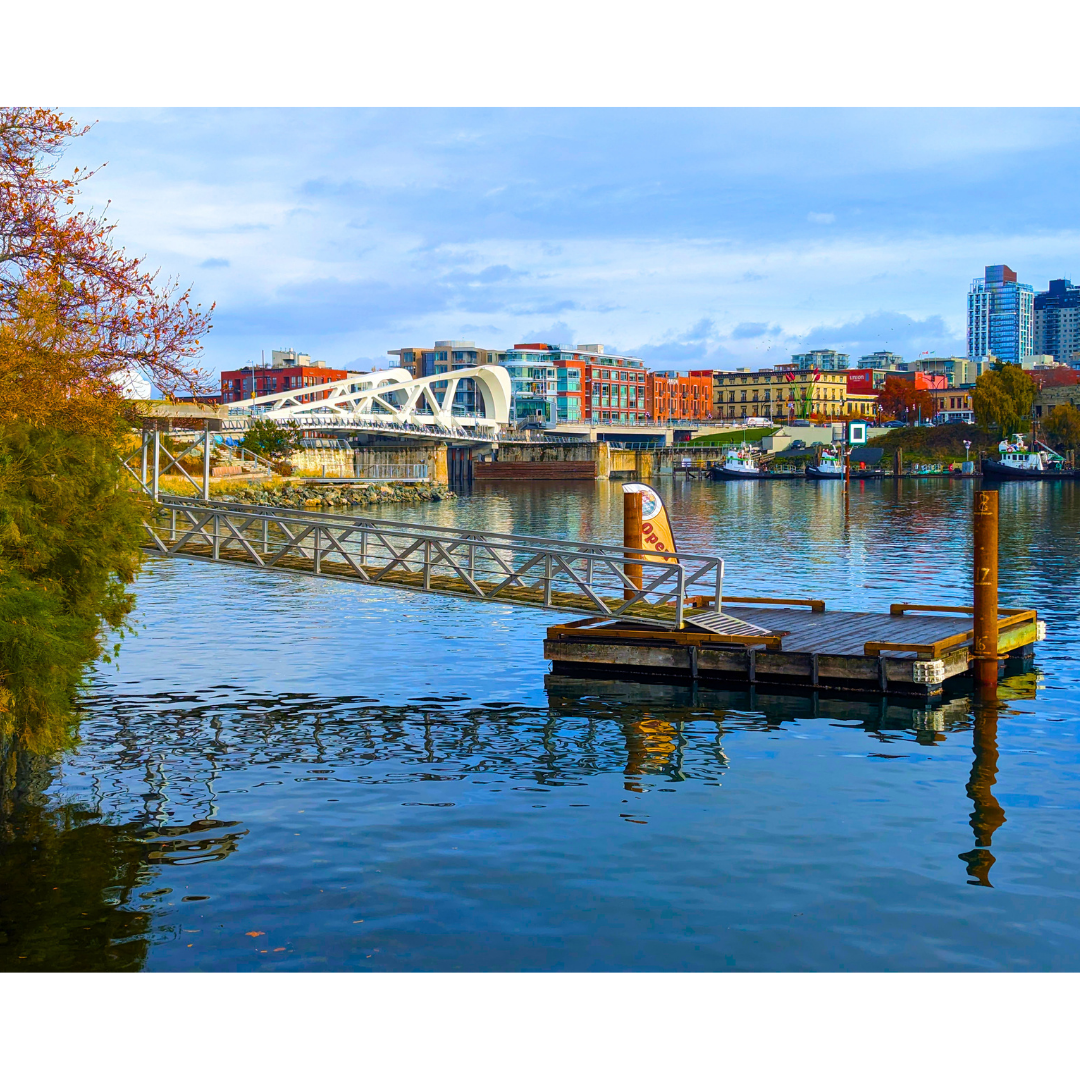 Bridging the Basin