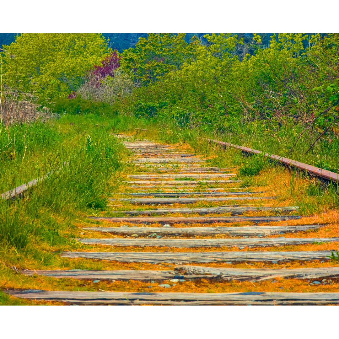 Echoes of the Rails