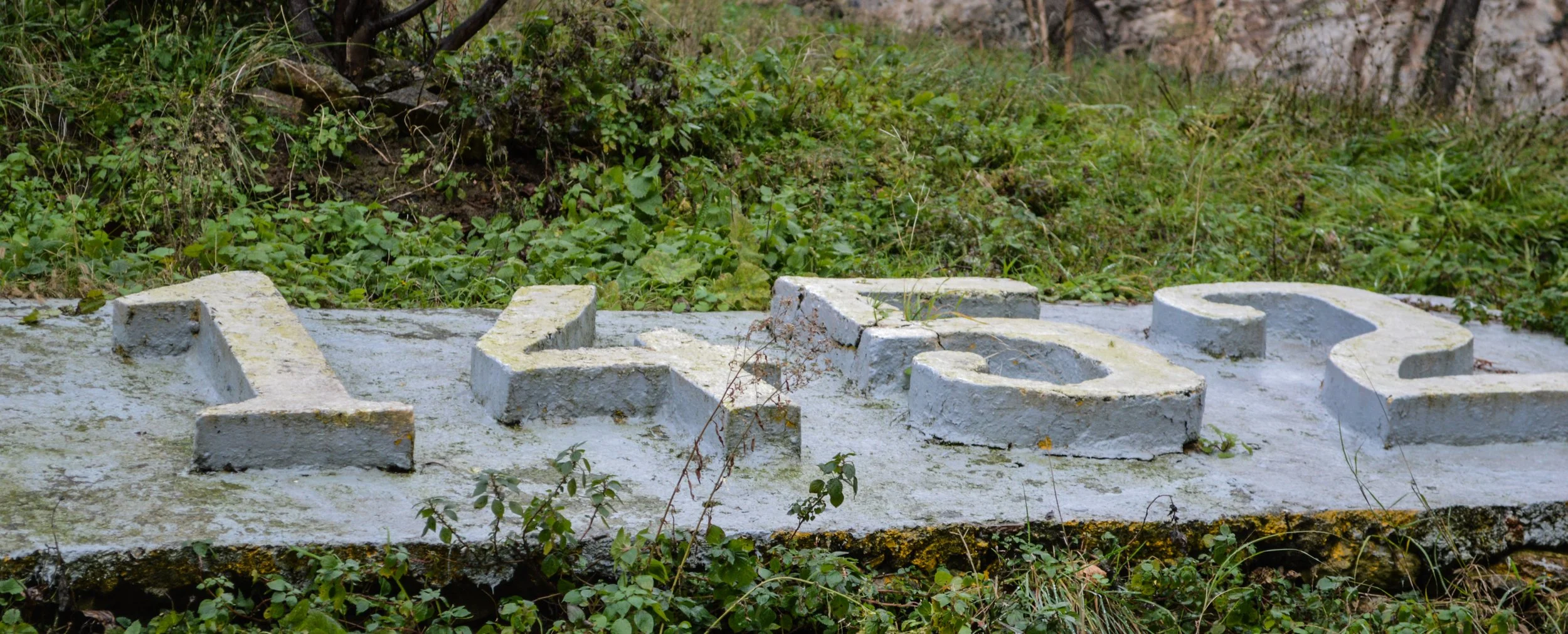 Concrete steps with a white painted surface, surrounded by green plants and grass.