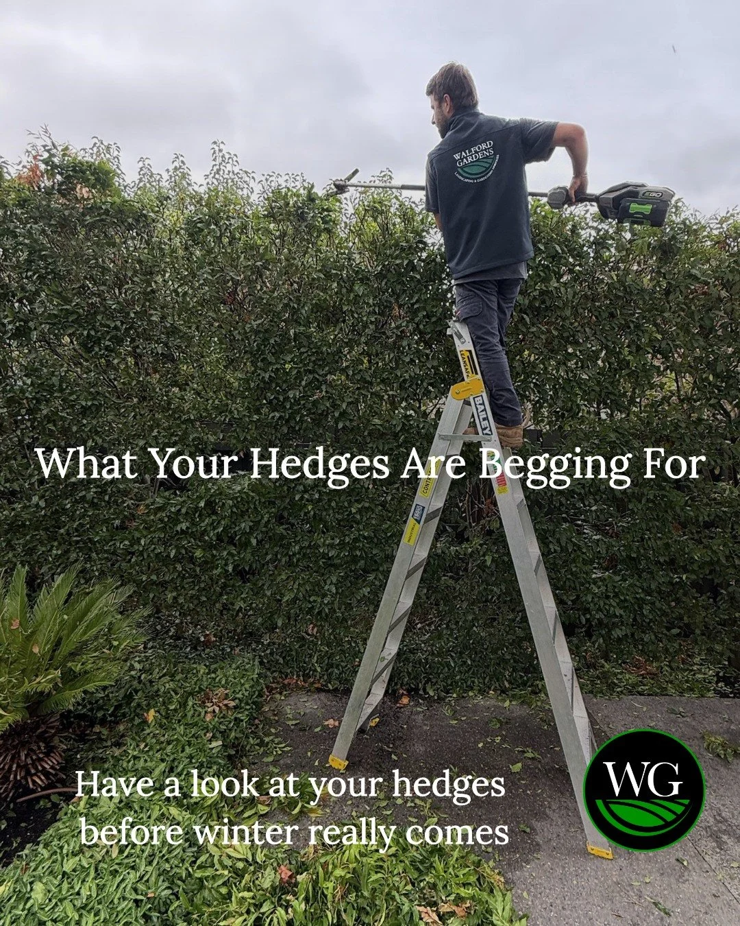 Hedges don't stay sharp on their own ❄

Regular hedging keeps growth controlled, healthy &amp;
dense!

Regular shaping helps to perfect &amp; neaten your garden
through every season change!

This prevents hedges from losing their shape &amp;
becoming