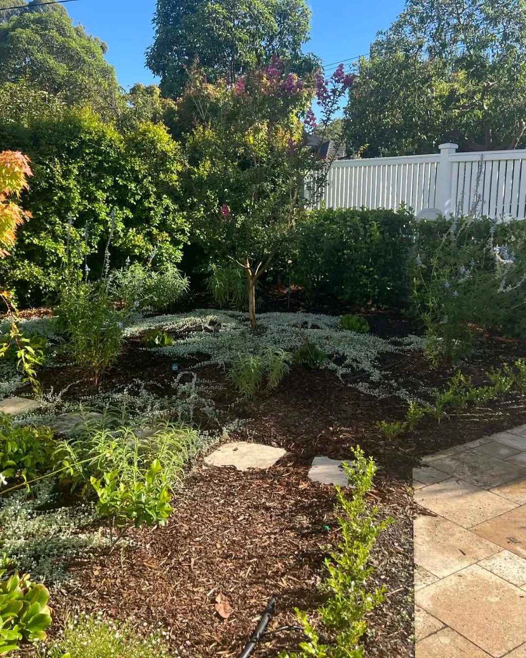 A true transformation 🌱🌱

this front yard was completely waterlogged by the clay soil.

We weeded the garden beds and loosened it up with gypsum to break down the clay. Also, adding fresh soil and compost.

We designed a plant out, installed a tric