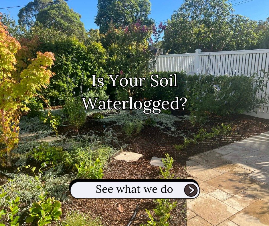 Waterlogged garden? We fix that.

Poor drainage = poor growth.
Clay-heavy soil holds water, suffocates roots, and stalls your entire garden.
We break it down properly &mdash; gypsum treatment, soil improvement, and a full reset so your garden can act