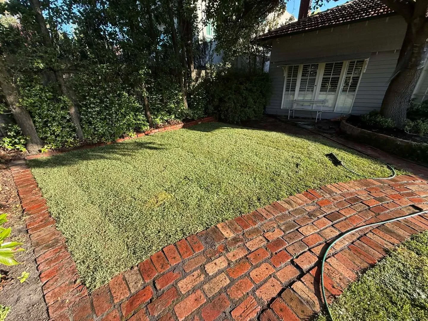 A true transformation 🏡

Lawn health is simpler than you think. We can fix it together, reach out with your lawn questions!

 #lawn #LawnCare #Melbourne #home #melbournehome