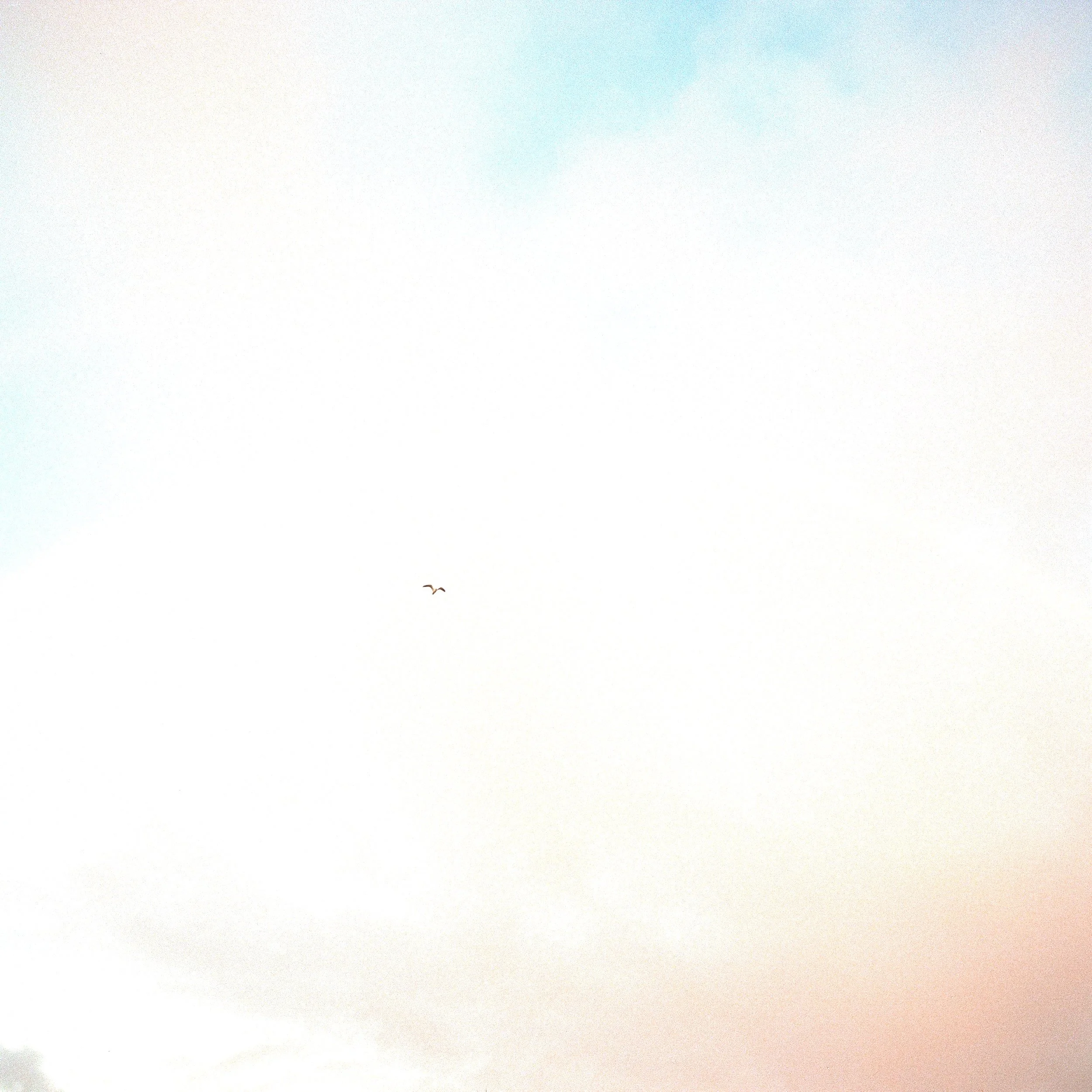 Dialectical Behavior Therapy informed support focused on emotion regulation distress tolerance and interpersonal effectiveness