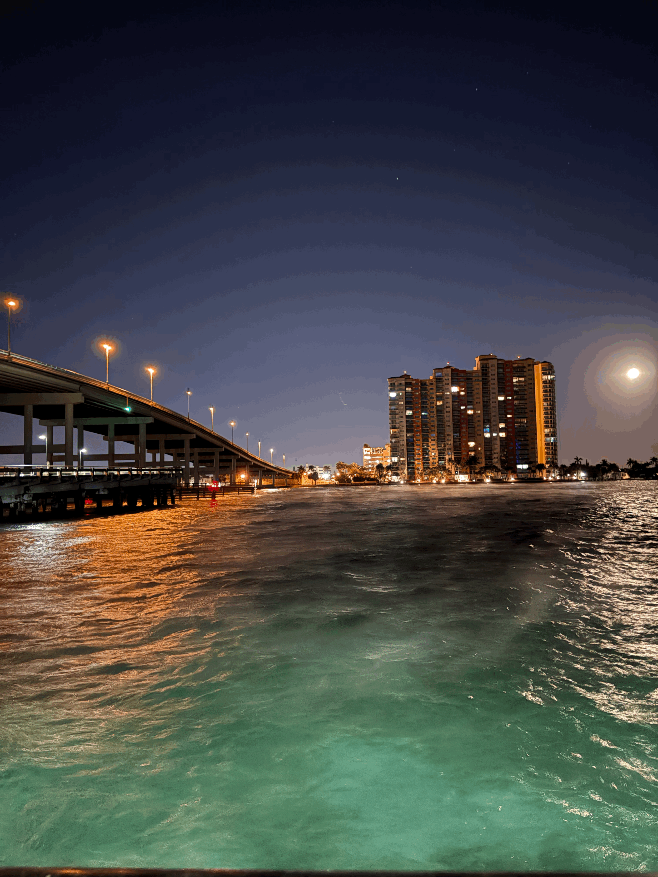 Guided Blue Heron Bridge Dive | Riviera Beach, FL - Day/Night