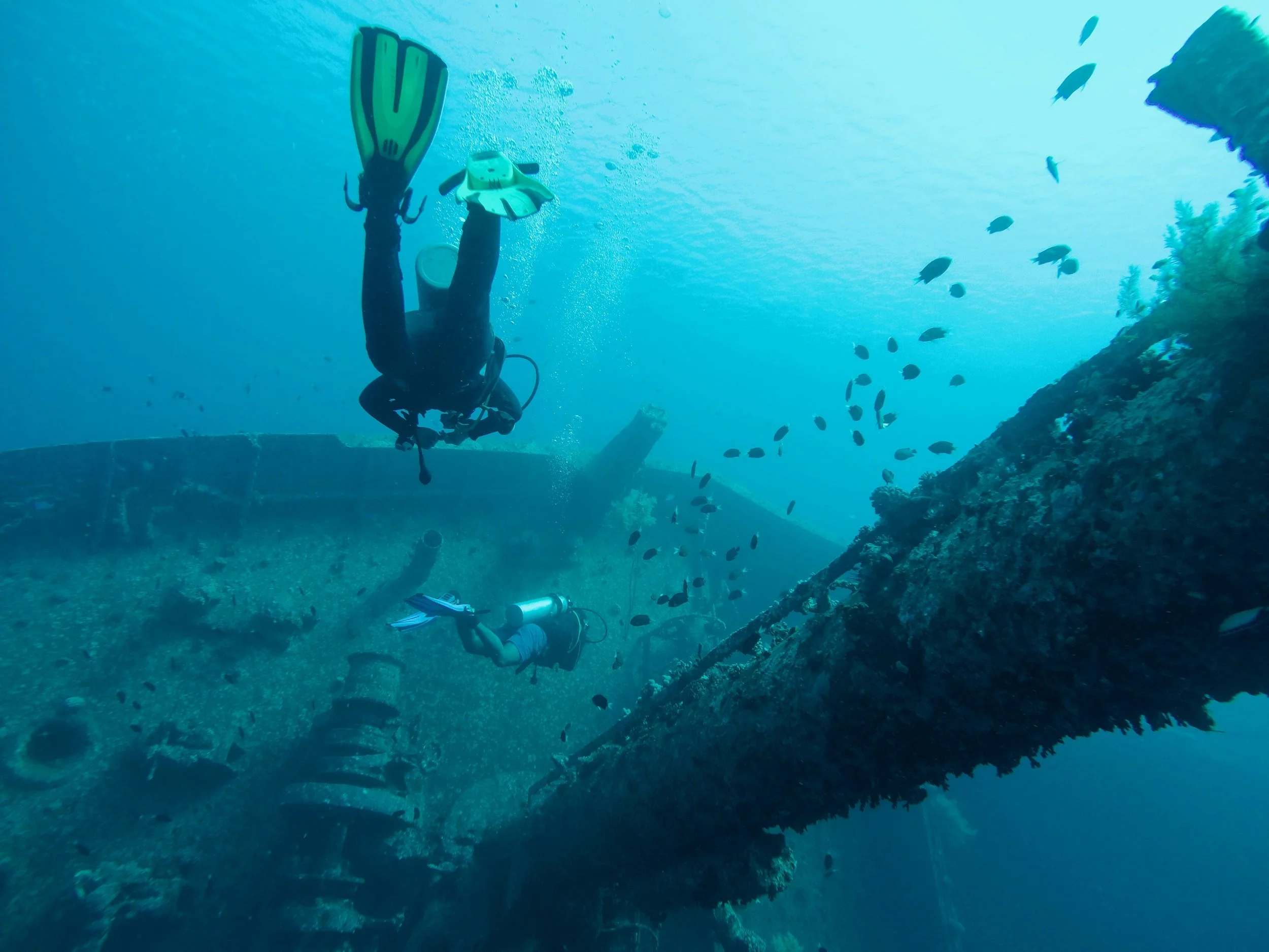 Guided Wreck Dives - MV Castor & Budweiser | Boynton Beach, FL