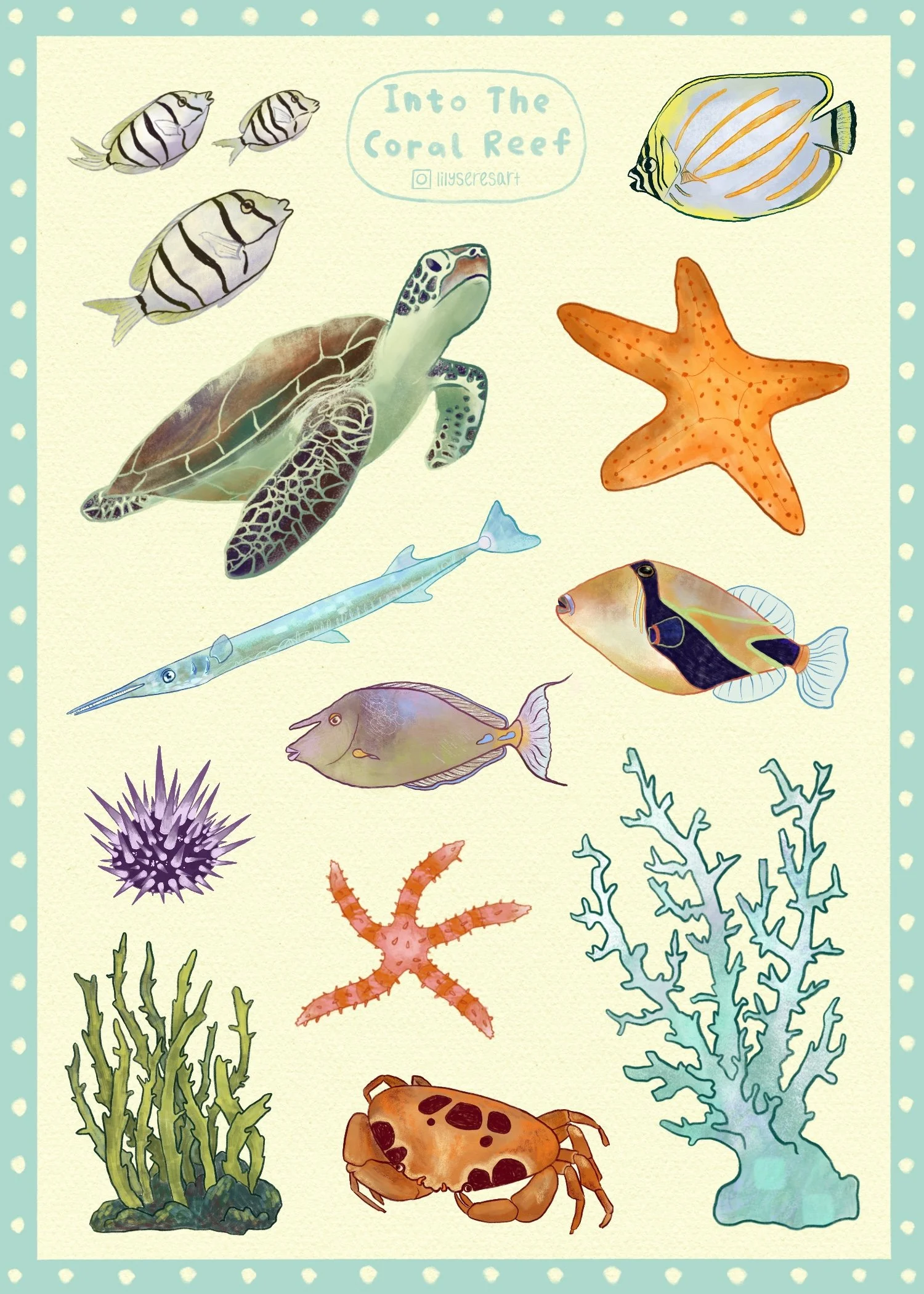 Illustration of various sea creatures including a starfish, a sea turtle, multiple fish, a starfish, a crab, and coral, with a background and a title that reads 'Into The Coral Reef'.