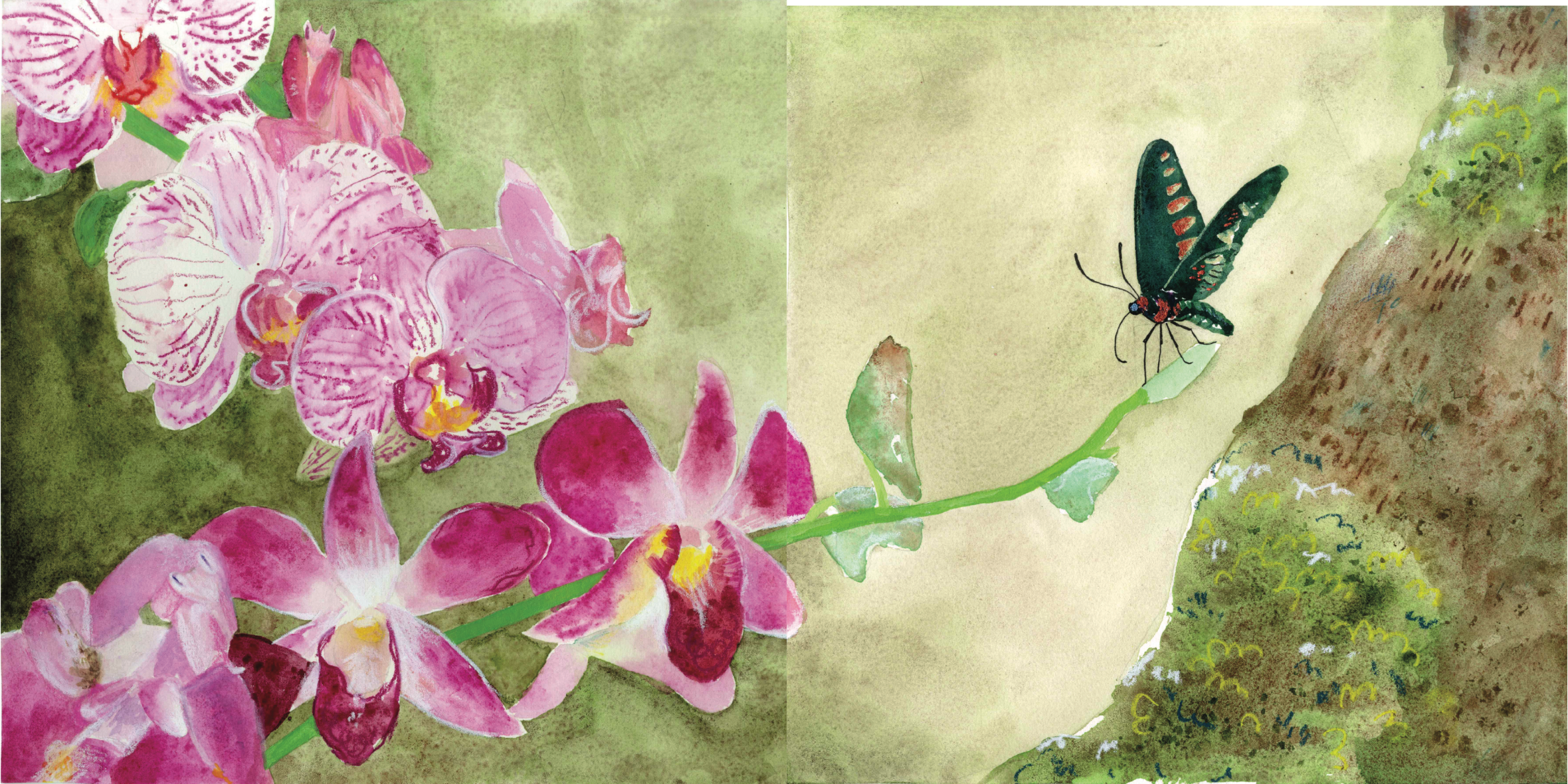 A watercolor painting of pink orchids blooming on a green stem, with a black butterfly with red spots resting on a green leaf branch extending from a mossy tree trunk. Orichid mantis