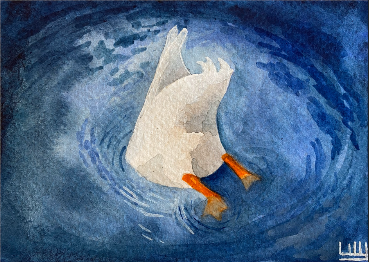 Watercolor illustration of a duck with orange feet, butt up, diving in blue water, with ripples around it.