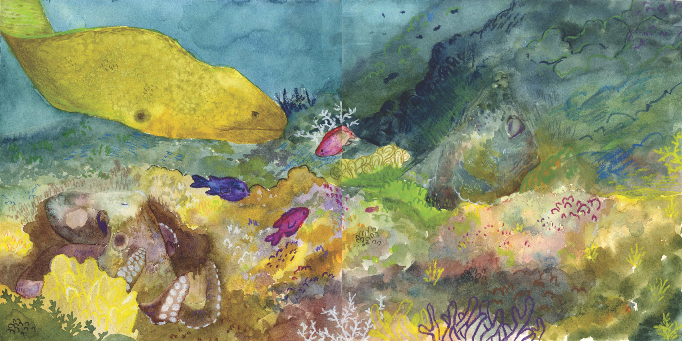 A colorful underwater scene featuring various fish, coral, and marine plants with a large moray eel and common octopus