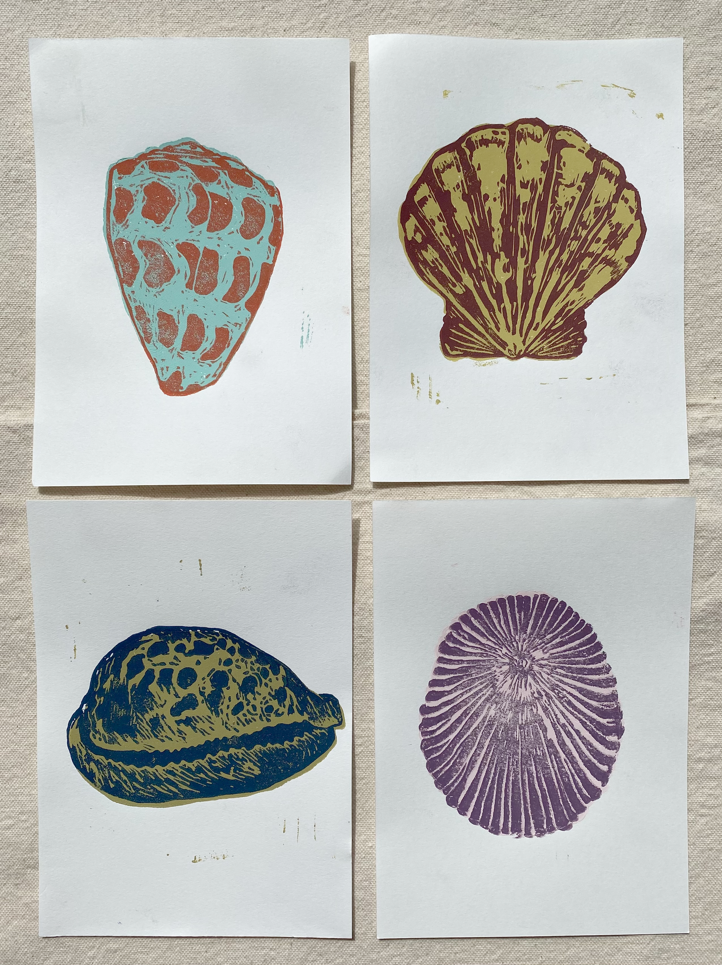 Screen print images of three different seashells and one citrus fruit, arranged on white paper, on a light-colored fabric background.