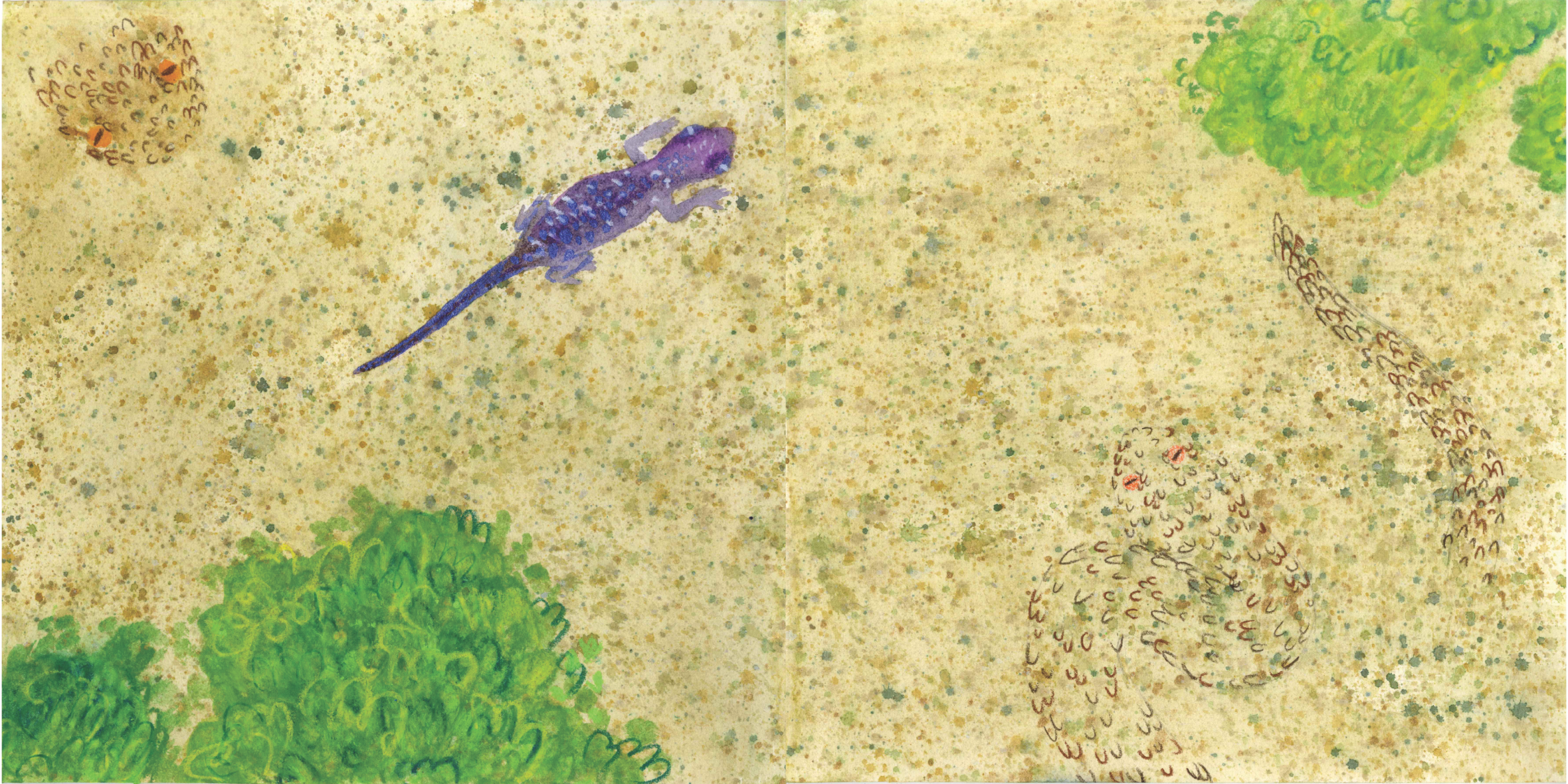 Illustration of desert scene with small bushes, a purple gecko, and a Peringuey’s adder snake.