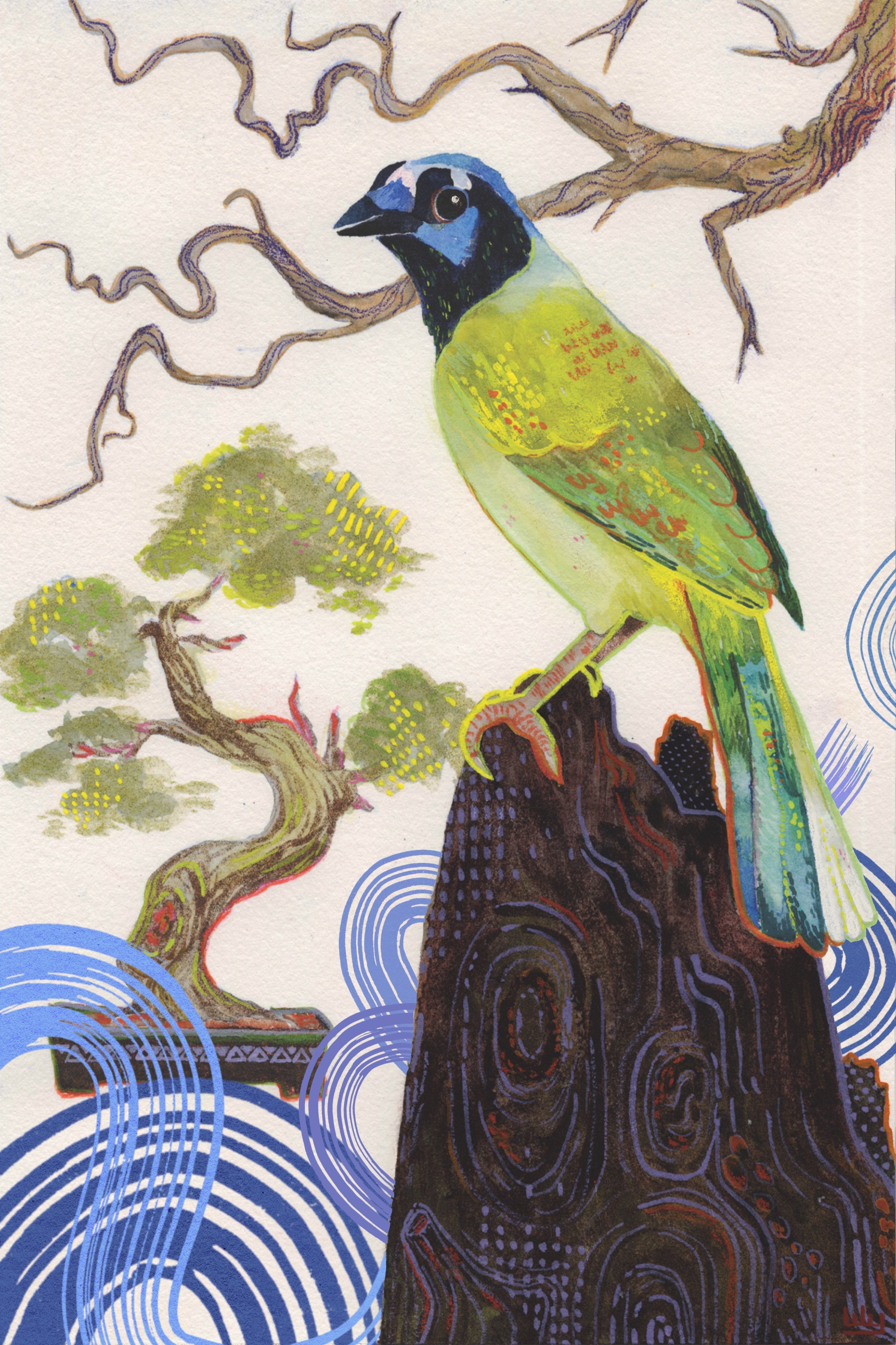 Colorful illustration of a bird green jay with blue and green feathers perched on a dark wooden stump, with a twisted tree bonsai and stylized water waves in the background.