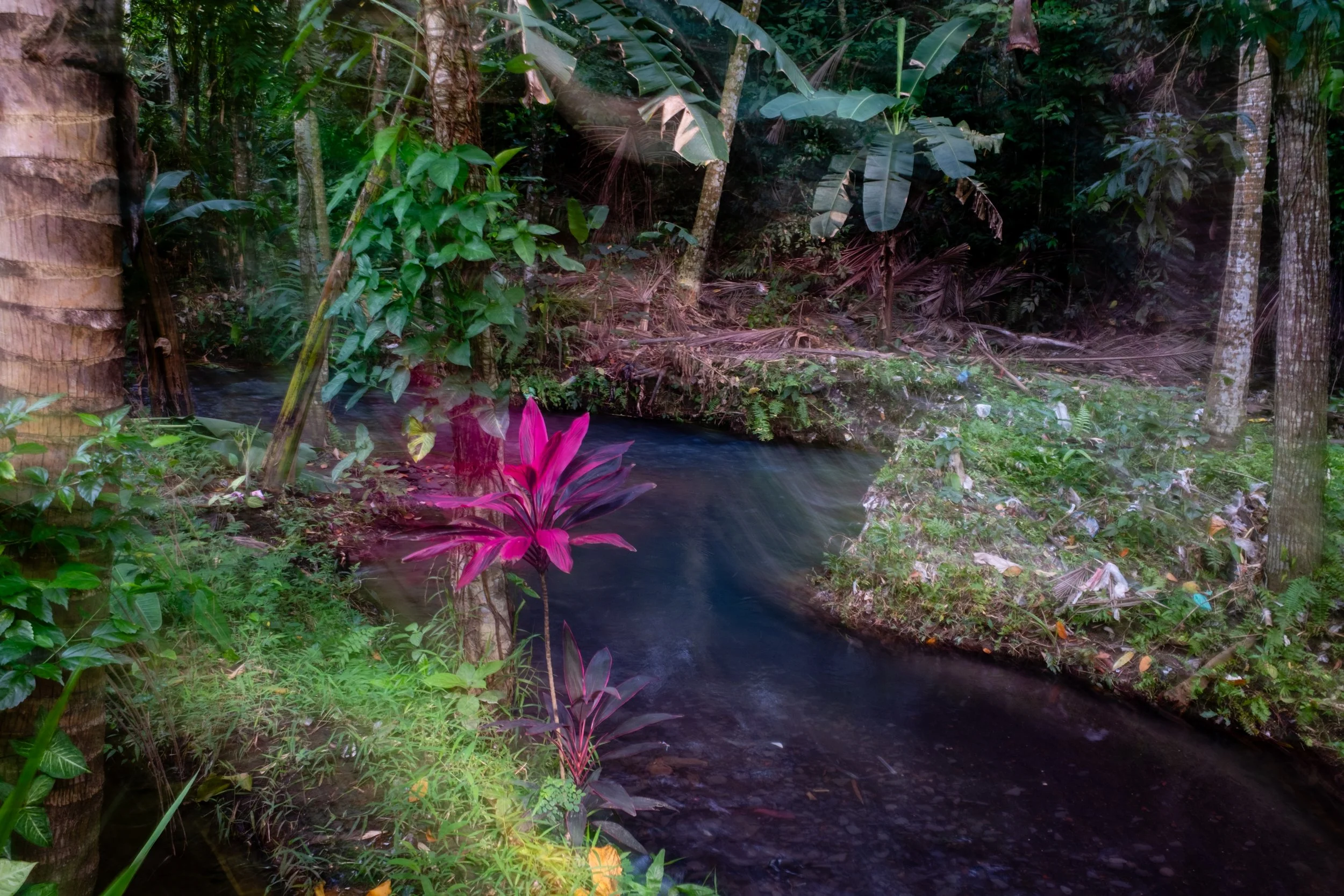 A lush jungle scene with dense green foliage, trees, and a flowing stream. Vibrant pink flowers are in the foreground.