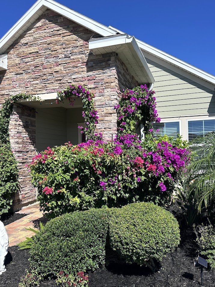A house with a brick facade and beige siding exterior, with a gabled roof, surrounded by flowering bushes and greenery under a clear blue sky.