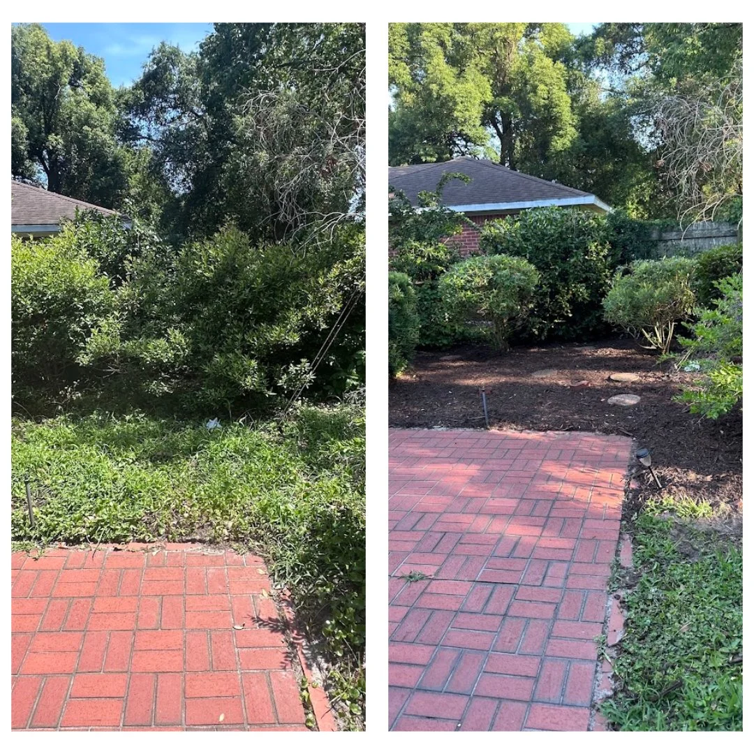 Comparison of a garden area before and after cleanup, showing an overgrown backyard with dense bushes and trees on the left and a tidier backyard with a cleared brick patio and trimmed bushes on the right.