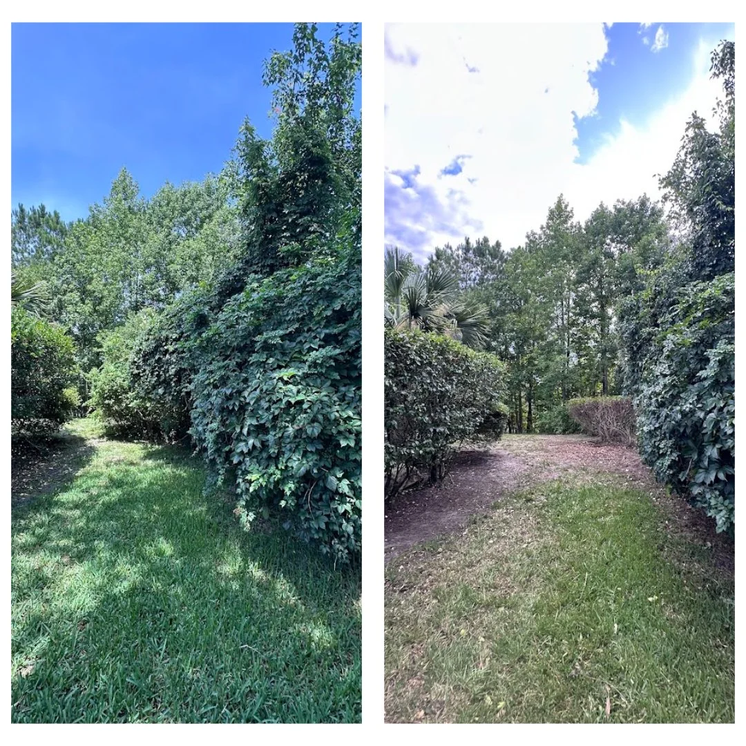 Comparison of a grassy pathway lined with dense green bushes and trees, one photo taken on a bright sunny day with clear blue sky, the other on a partly cloudy day with some clouds visible.