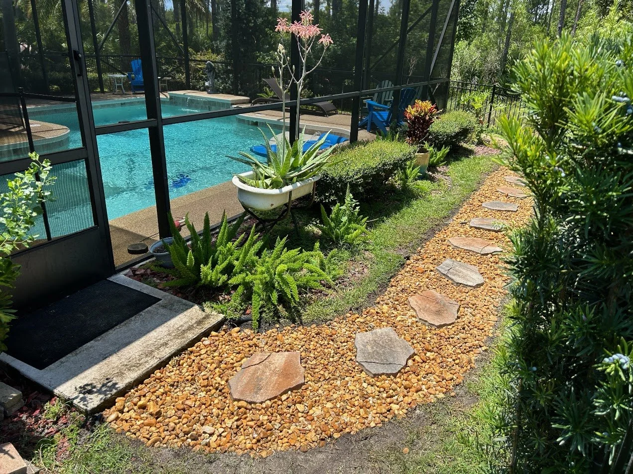 A backyard with a screened-in swimming pool, surrounded by a stone pathway, green shrubs, and potted plants.