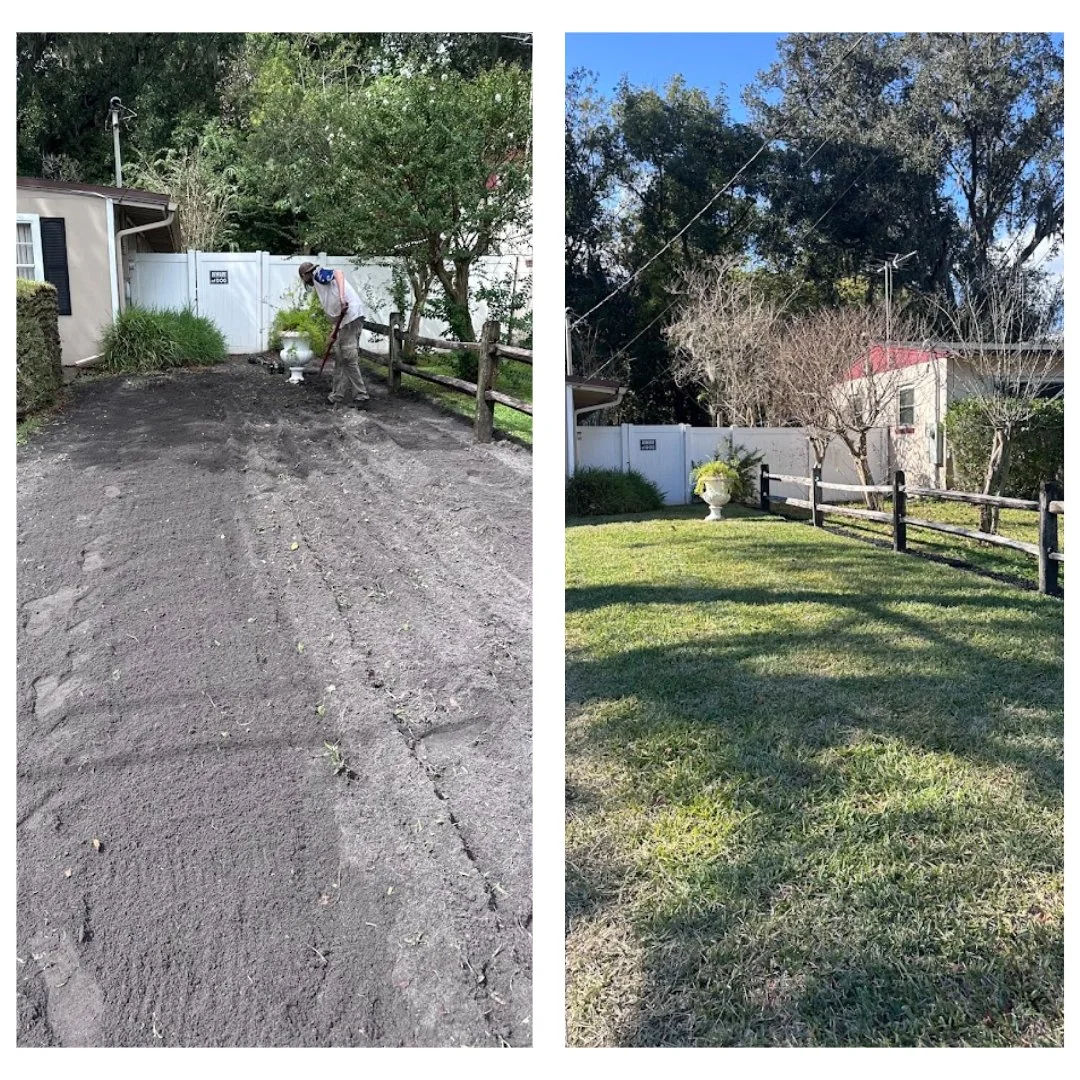 Comparison of a yard before and after landscaping and lawn care, showing a dirt area being prepared on the left and a lush green lawn on the right.