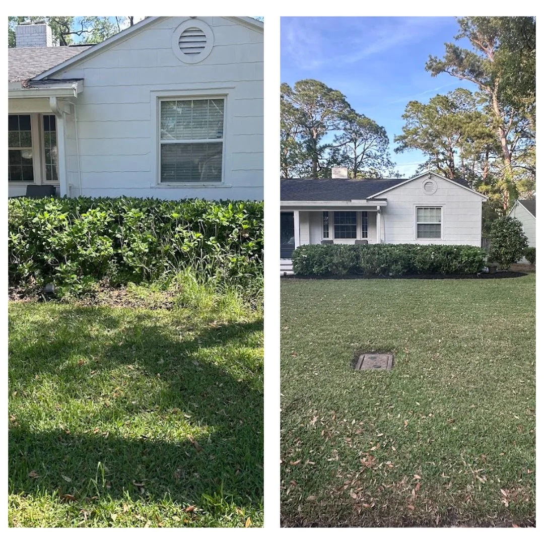 Comparison of front yards of a house, before and after landscaping. The left side shows overgrown bushes and unkempt grass, while the right side shows neatly trimmed bushes and well-maintained grass.