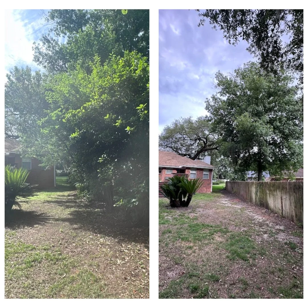 Comparison of two backyard scenes featuring a large tree and smaller plants, with the left side appearing more shaded and overgrown, while the right side is clearer, with a house, fence, and a partly cloudy sky.