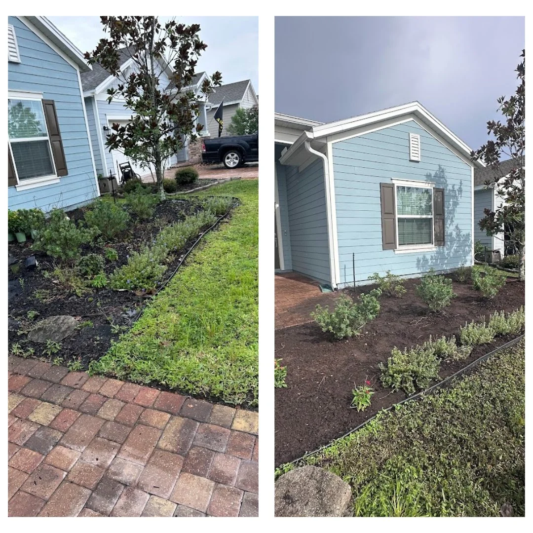 Comparison of front yard garden before and after landscaping. The left side shows an unweeded garden bed with a large tree, shrubs, and a brick sidewalk. The right side shows a tidy garden with freshly mulched soil and young plants in front of a blue