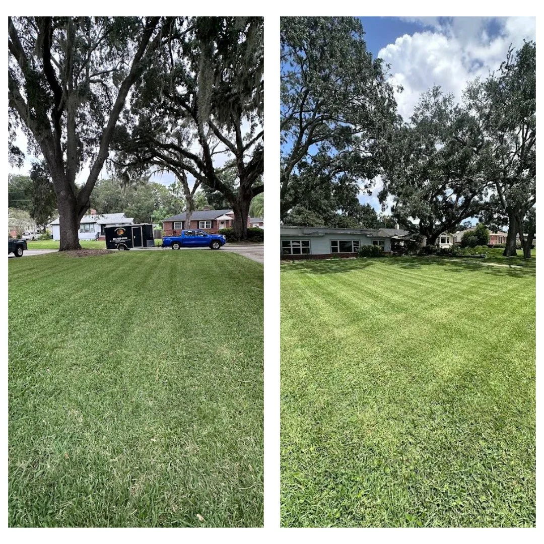 Comparison of two grassy yards with large trees, showing the before image on the left with slightly less vibrant grass and trucks parked nearby, and the after image on the right with well-maintained, greener grass under a partly cloudy sky.