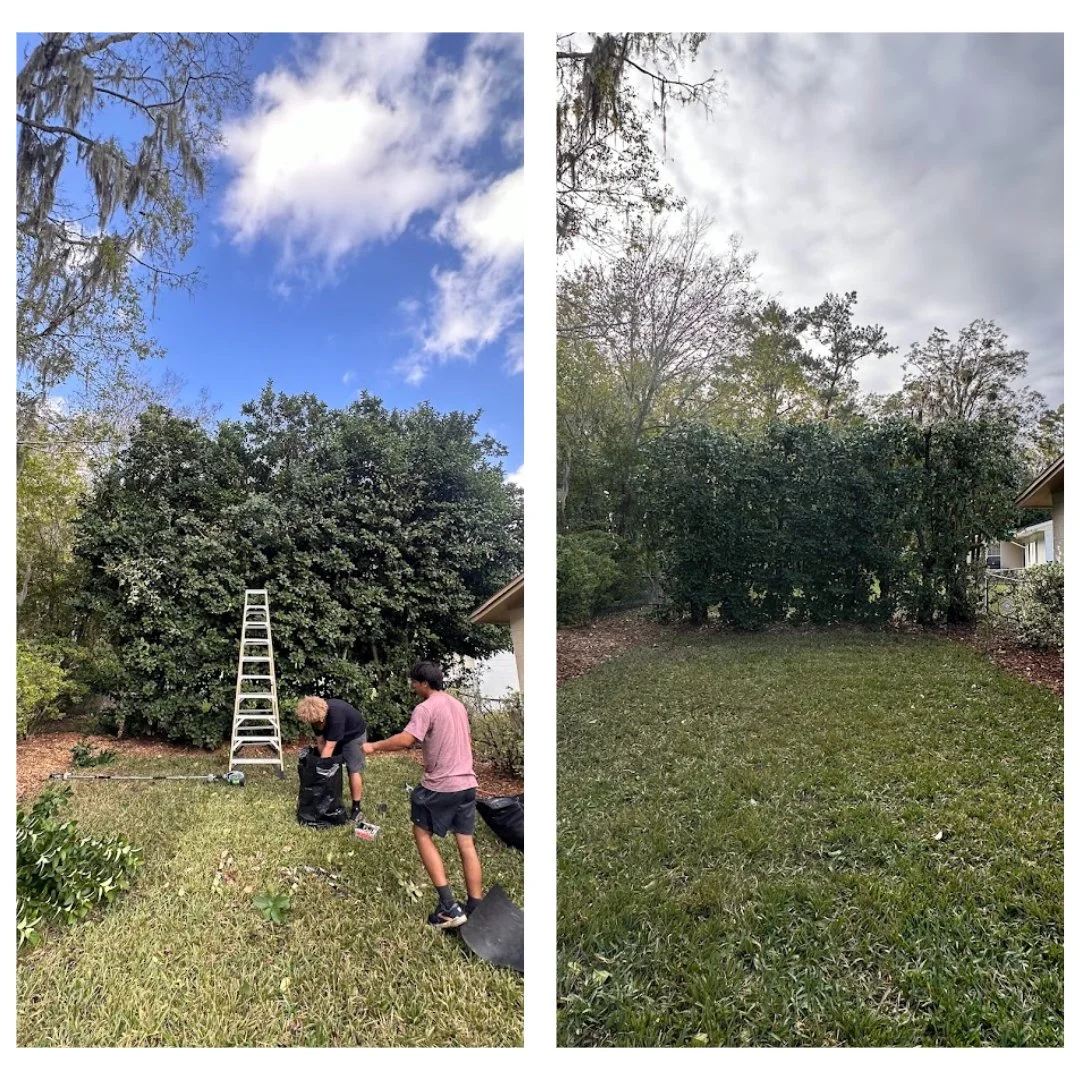 Comparison of a backyard with large bushes. The left side shows two people removing bushes, with a ladder and gardening tools. The right side shows the same backyard after bushes have been removed, revealing a grassy lawn and a cloudy sky.