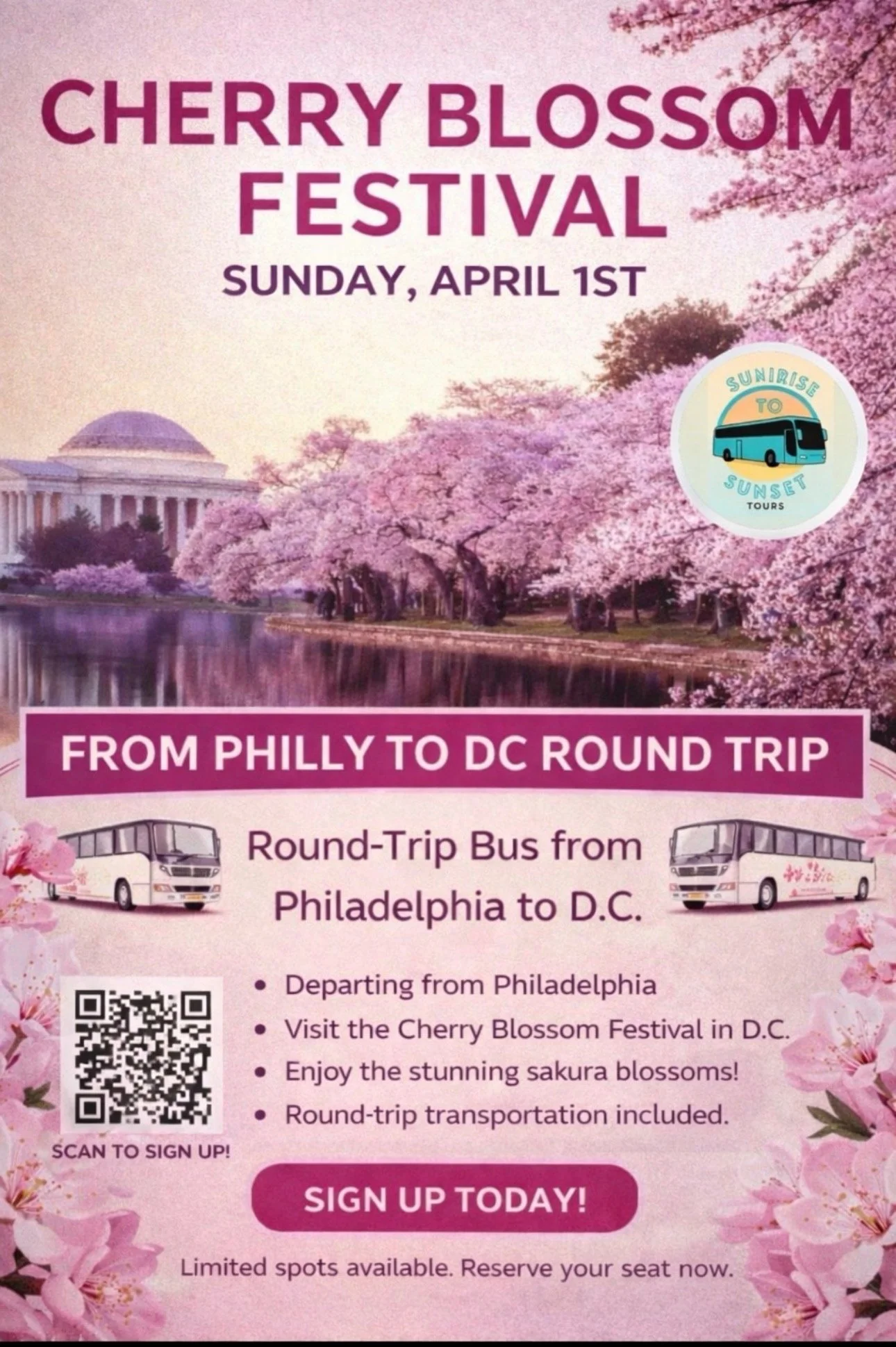 Cherry Blossom Festival Day Trip: Philly to D.C.