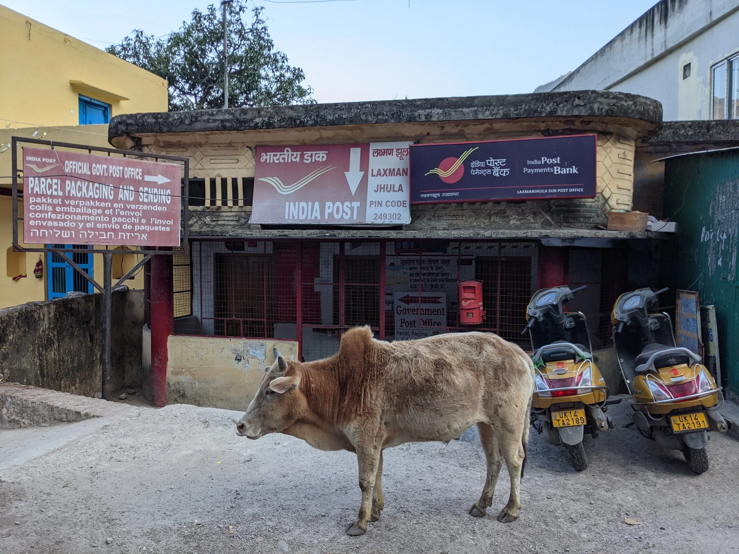 India travel - my thoughts