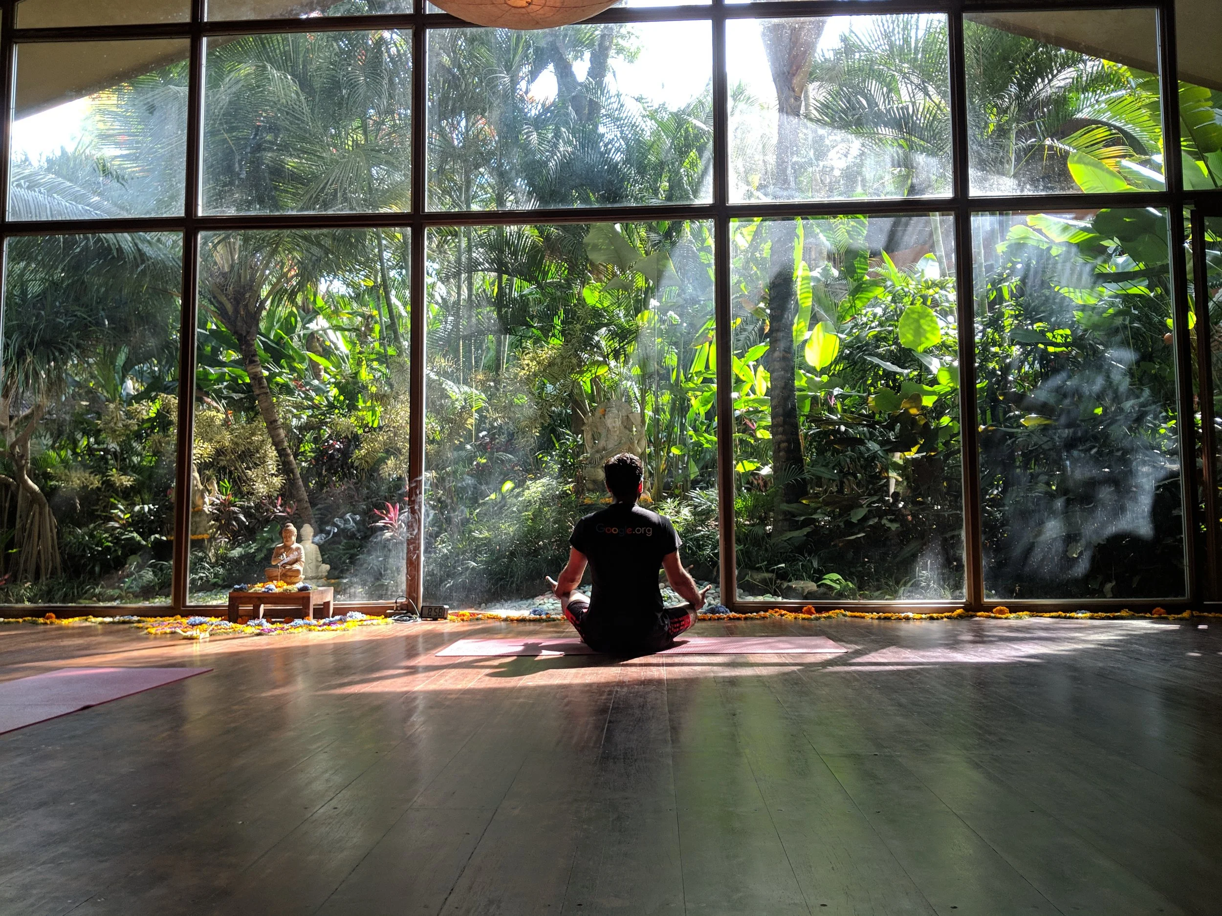 The Philosophy of Yoga