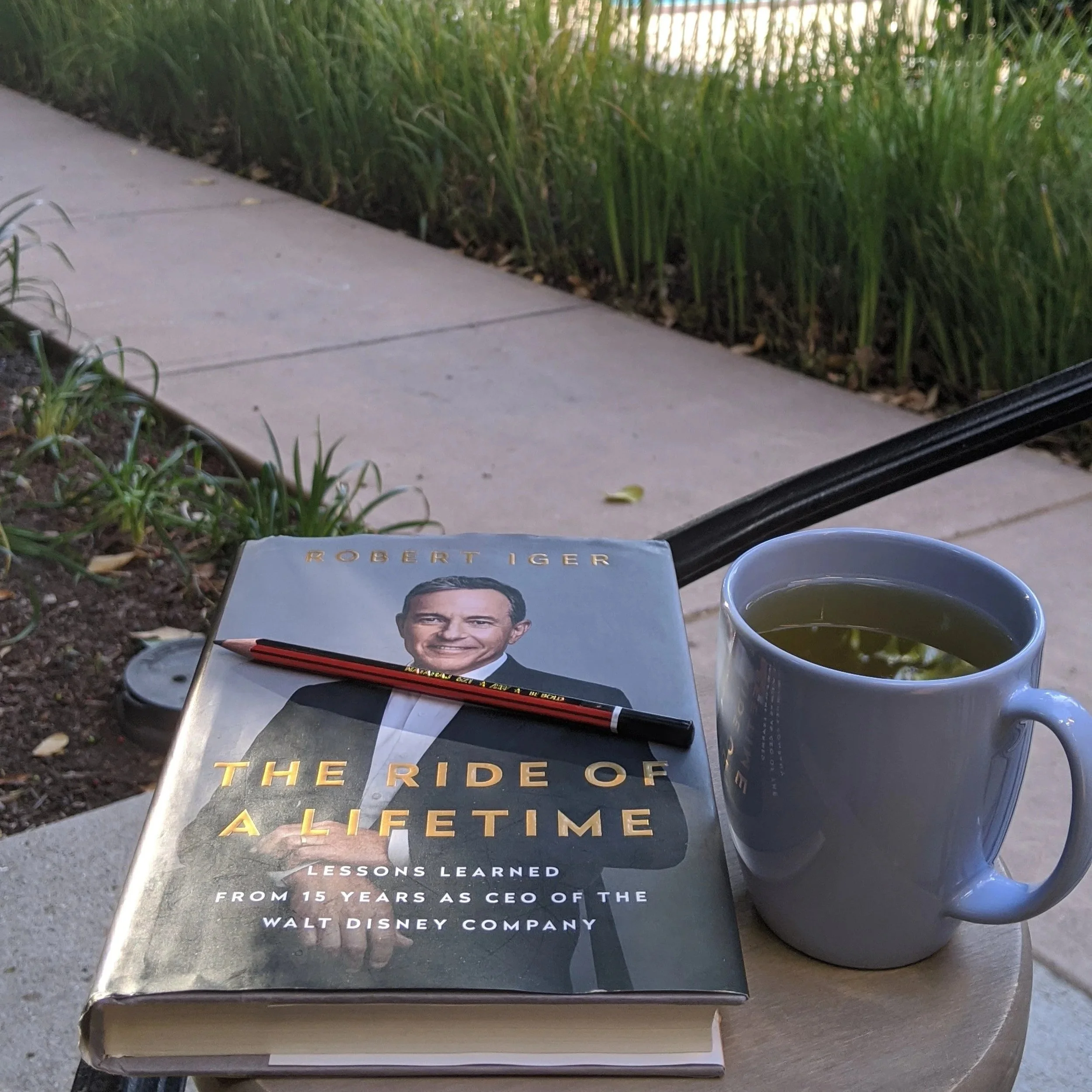 The Ride of a Lifetime - Robert Igor