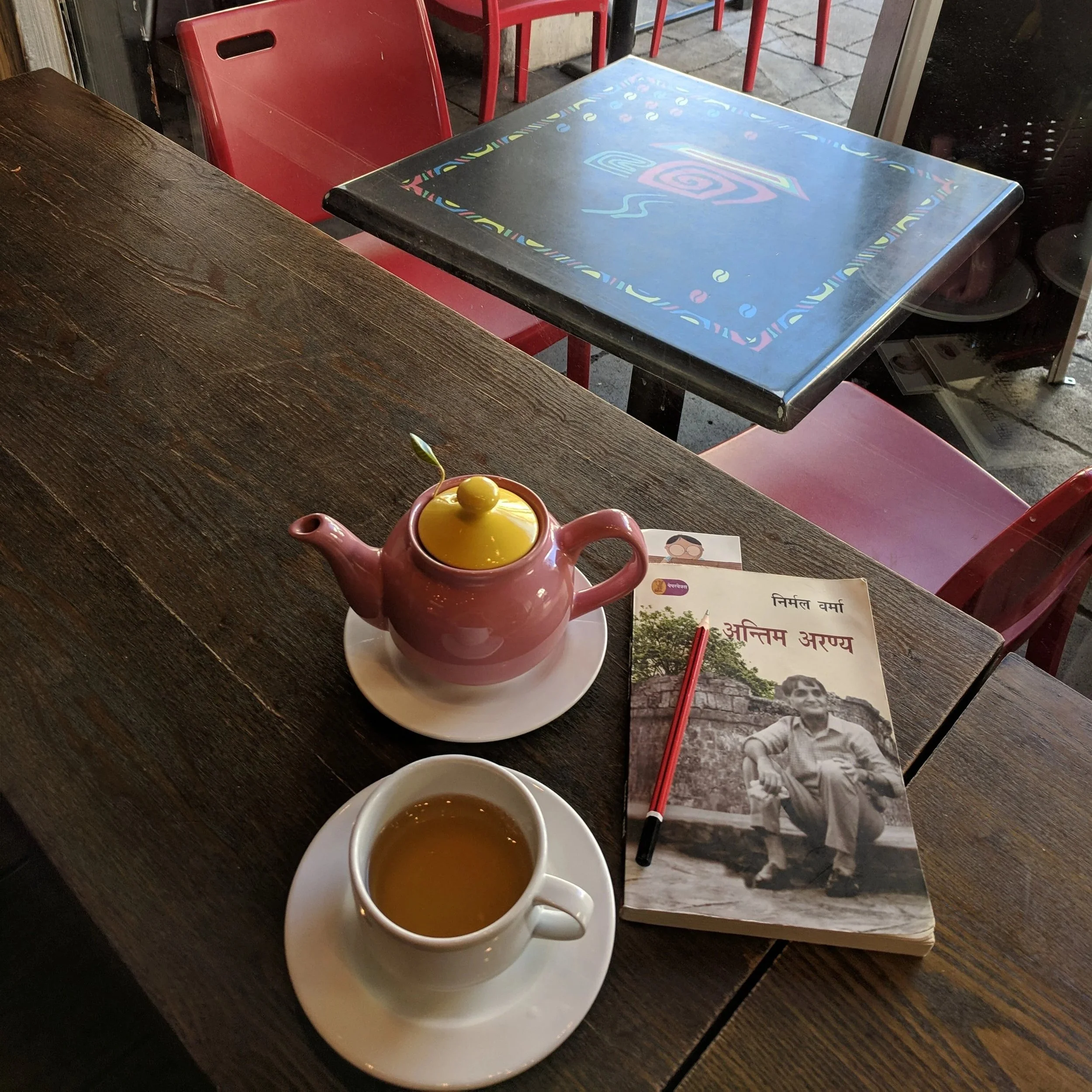 Antim Aranya (The Last Wilderness)&nbsp;-Nirmal Verma.