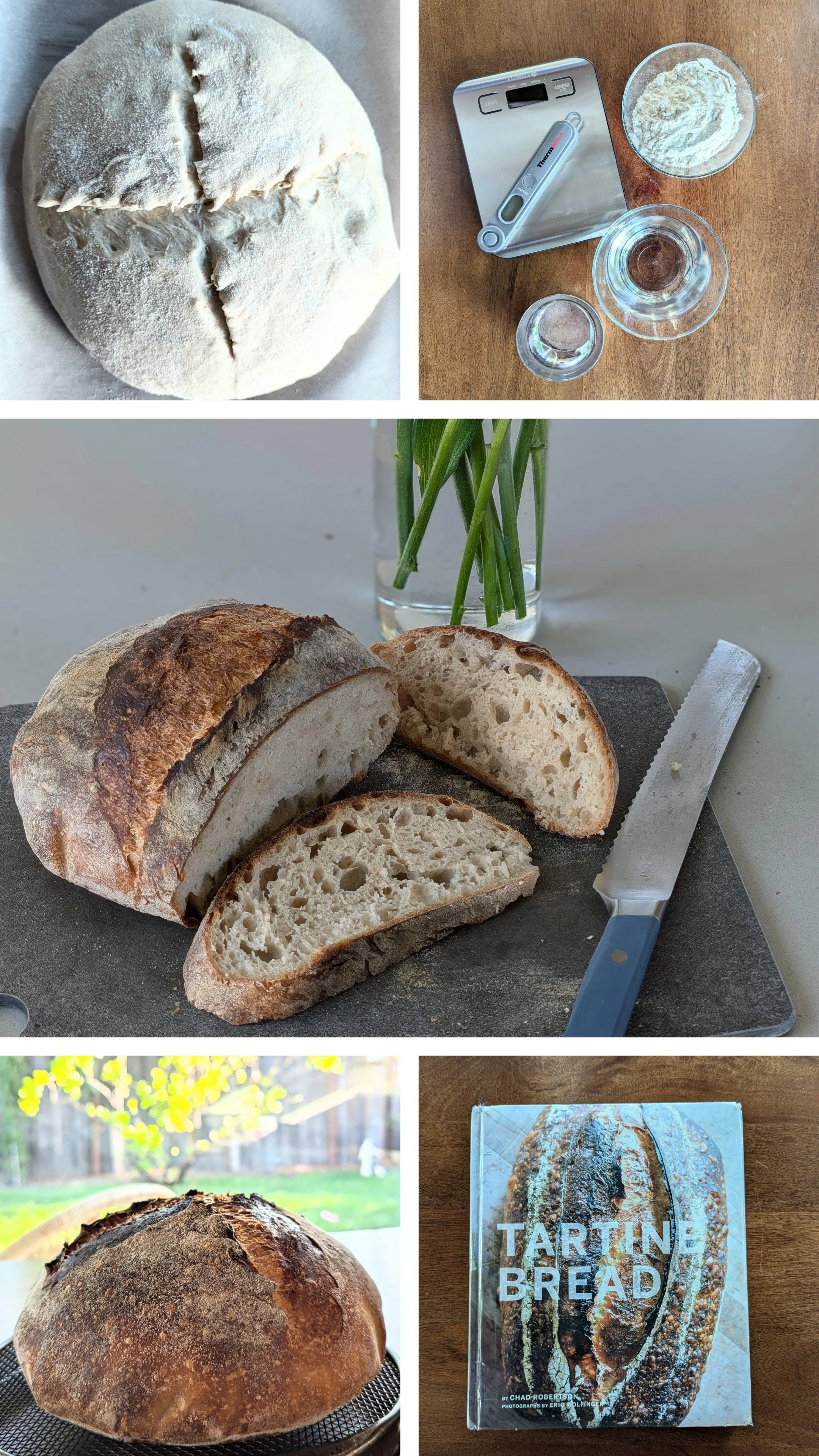 My Early Experiments with Sourdough Bread Making