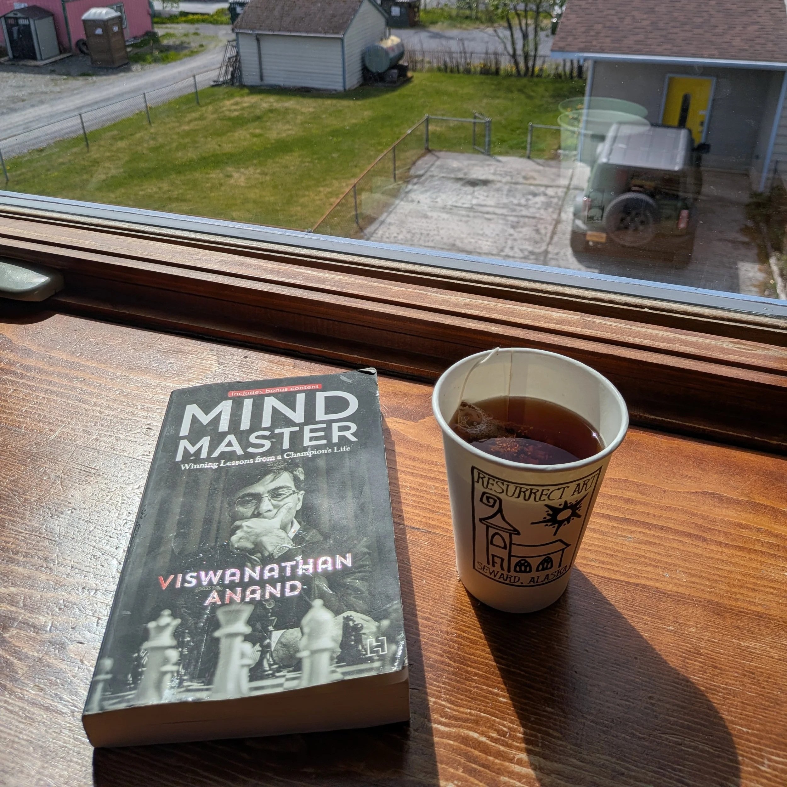 Mind Master: Winning Lessons from a Champion's LifeBook by Vishy Anand and Viswanathan Anand