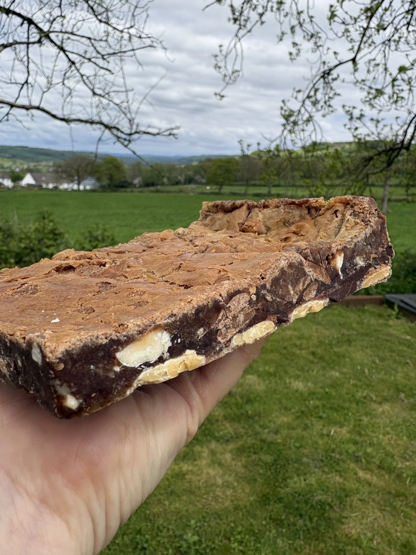Hathren Hazelnut Blondie2.jpg