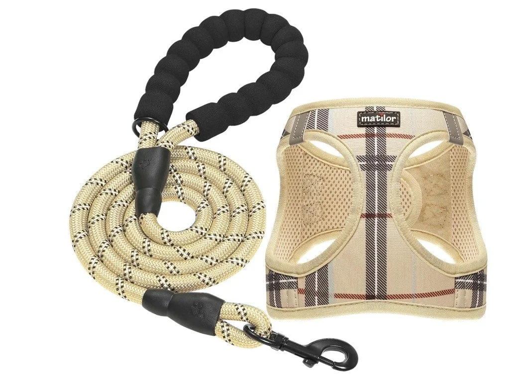 Dog Harness and Leash