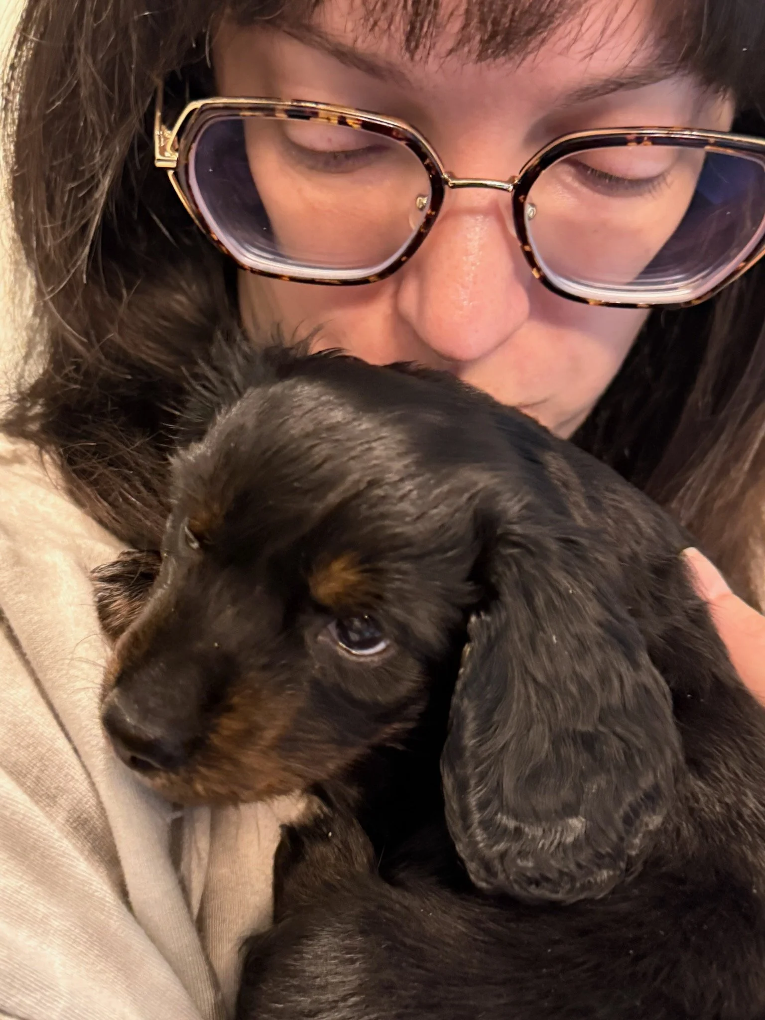 WOman kissing her new sweet baby dachshund
