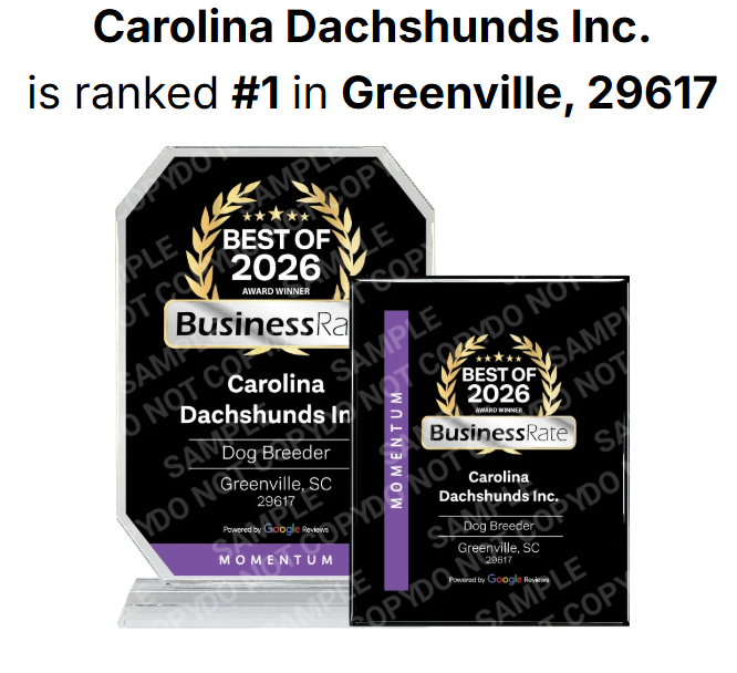 2026 award ranked #1 in Greenville, SC