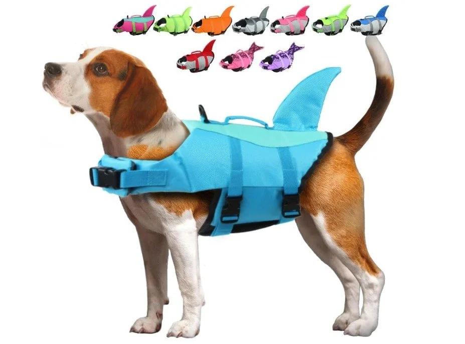Dachshund Pool Vest