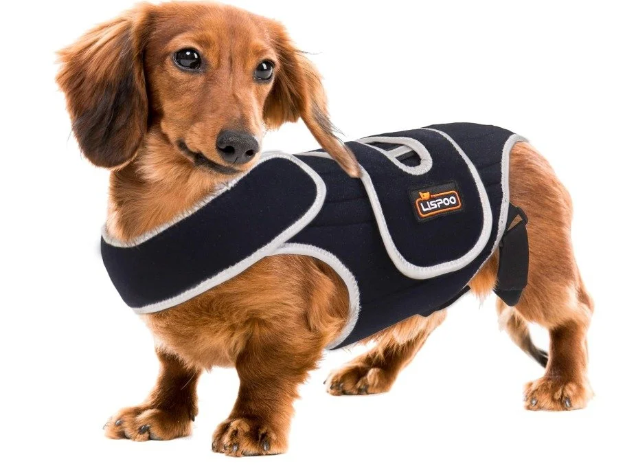 IVDD Dog Back Brace