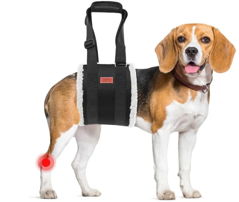 Dog Sling