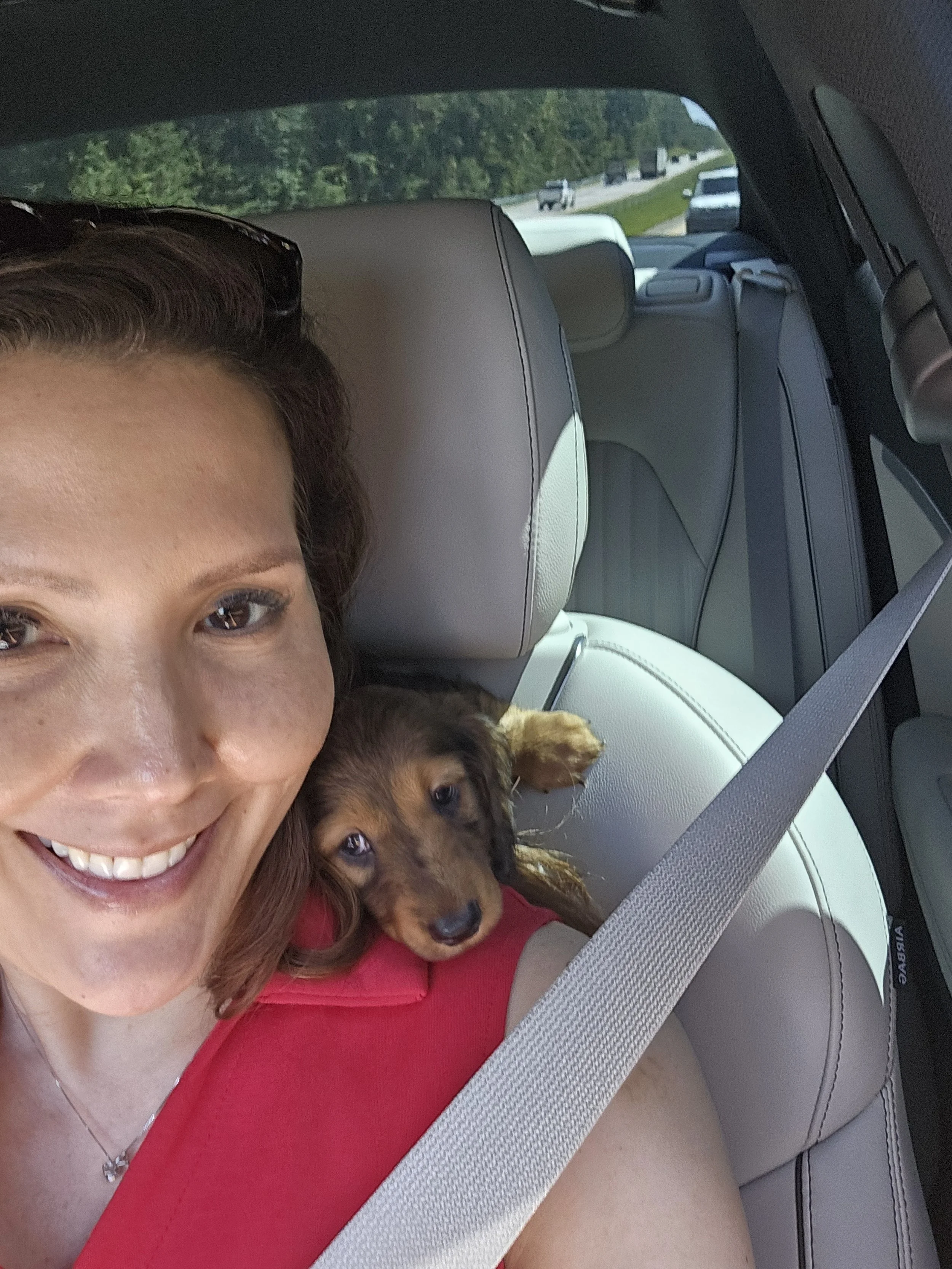 Woman on her way home after purchasing her new puppy dachshund