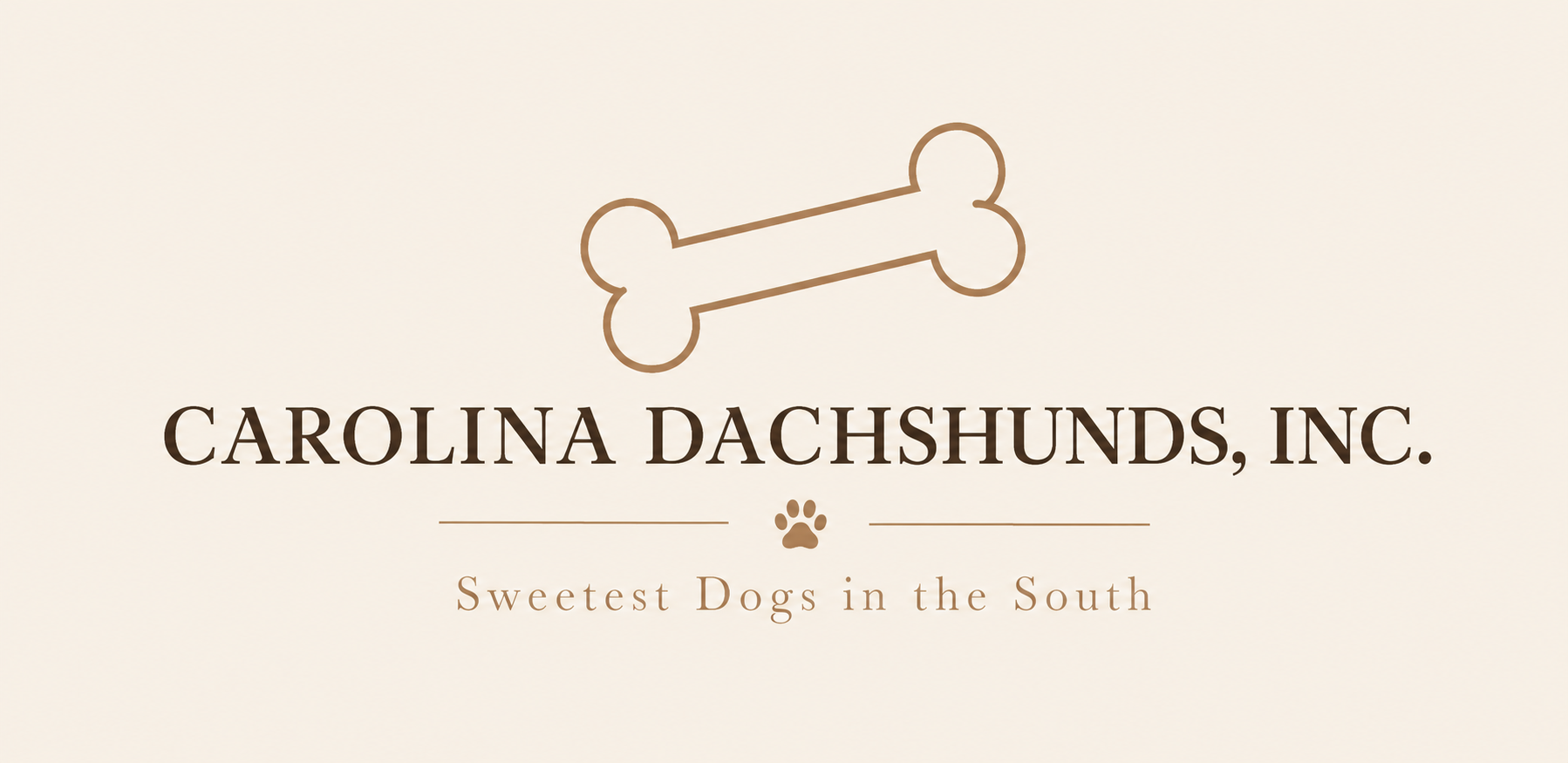 Carolina Dachshunds in Greenville, South Carolina