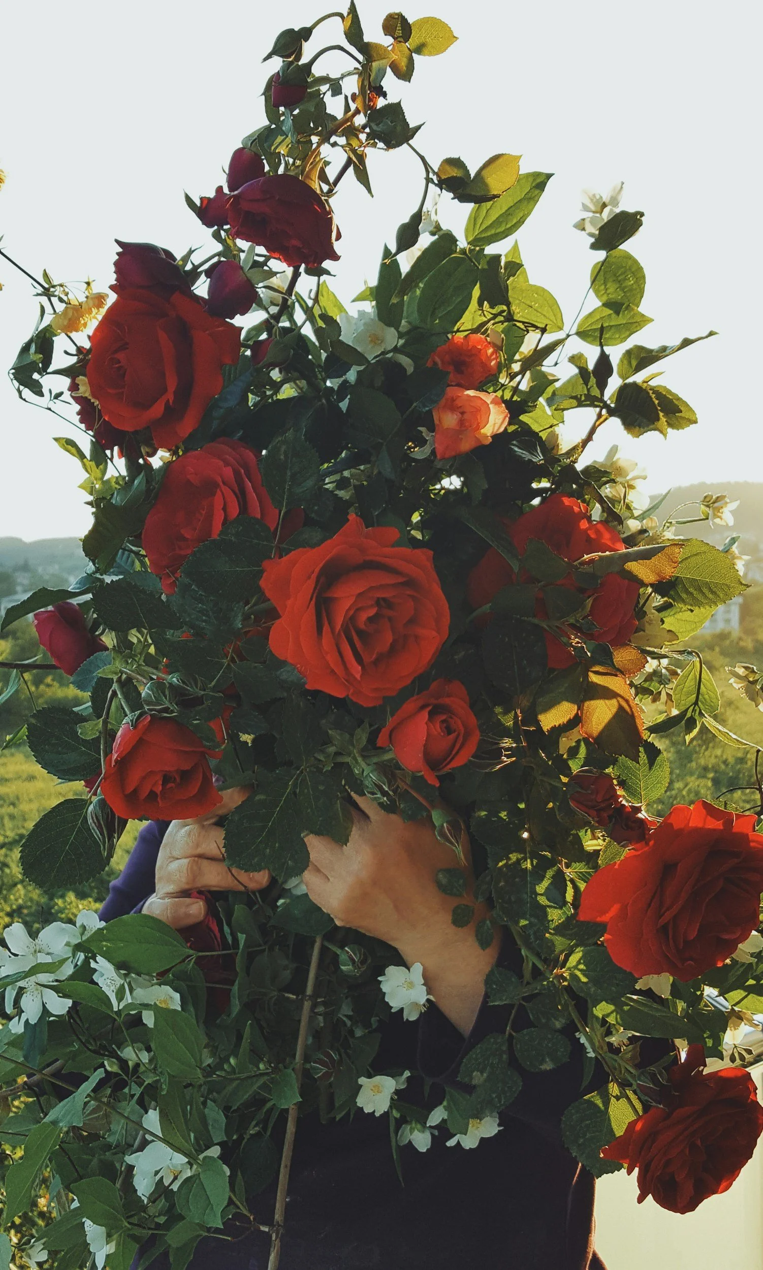 What Is Love Bombing, Really? Signs, Examples, and How It's Different From Real Love