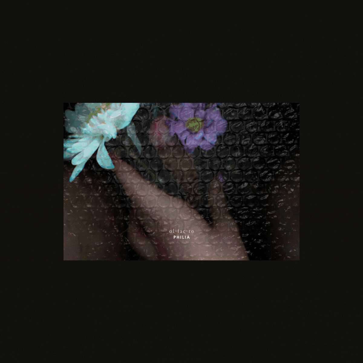 A person holding a bouquet of purple and blue flowers, with a bubble wrap background and the text 'ol:fecto' and 'PHILIA' on the image.