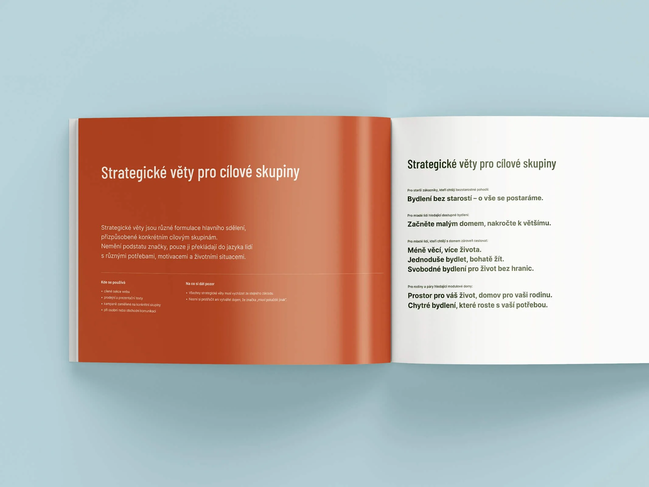Open booklet in Czech language titled "Strategické věty pro cílové skupiny" with red cover page and speculated interior pages showing text about strategic sentences for target groups, on a light blue background.